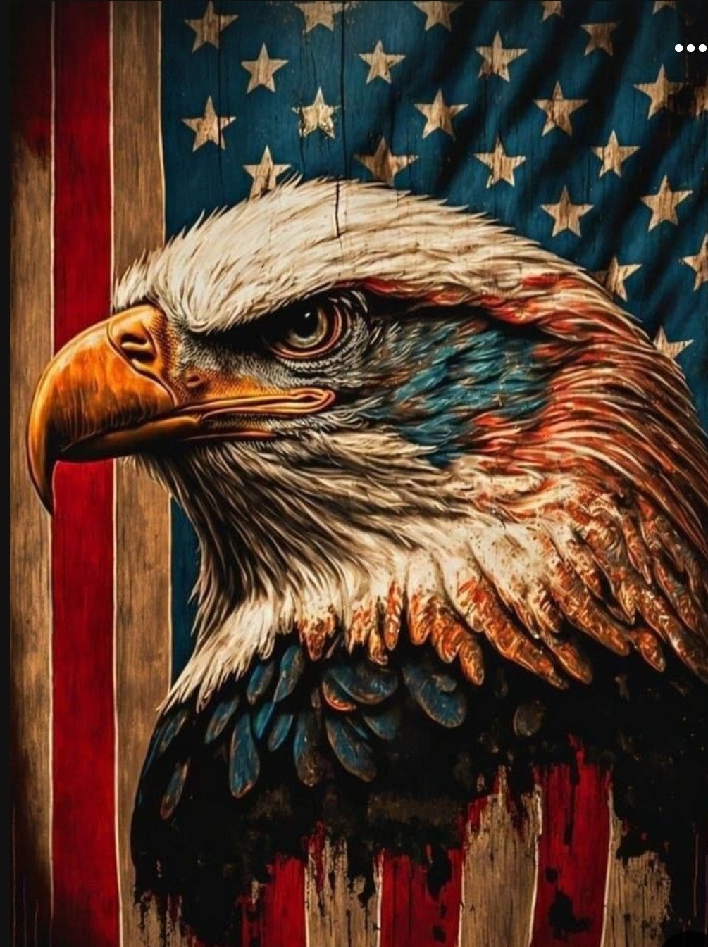 Van Cleve Collection