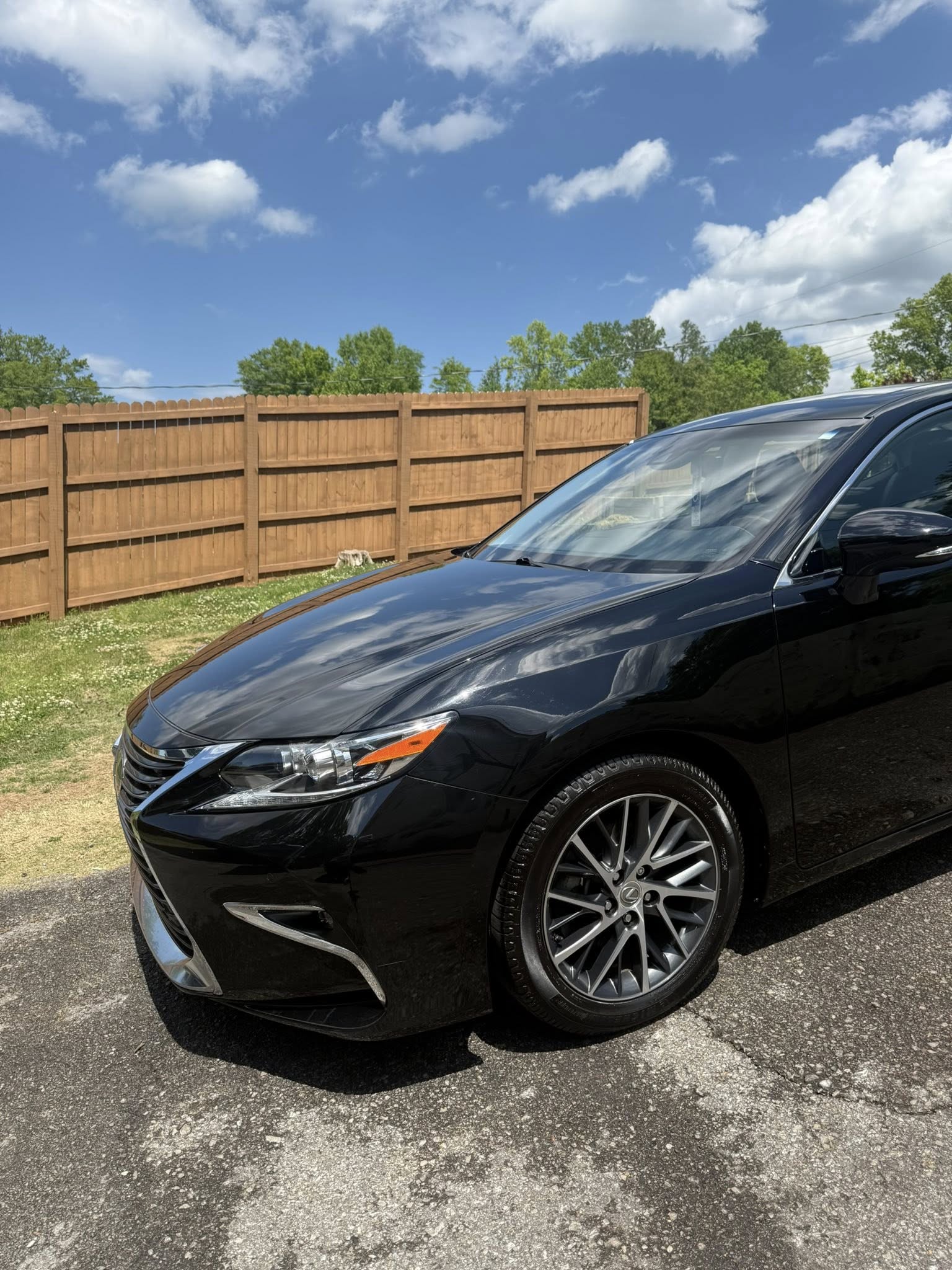 Pro Touch Detailing
