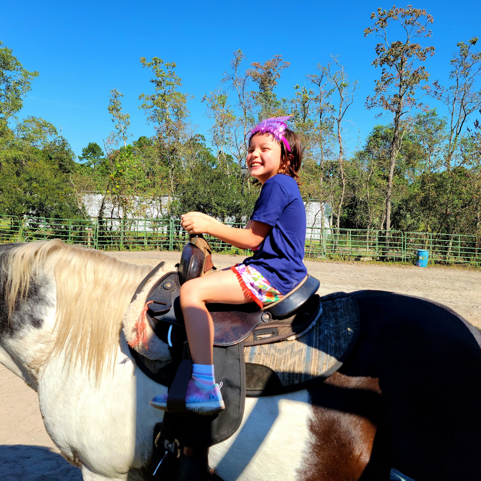 Hidden Fields Private Stable