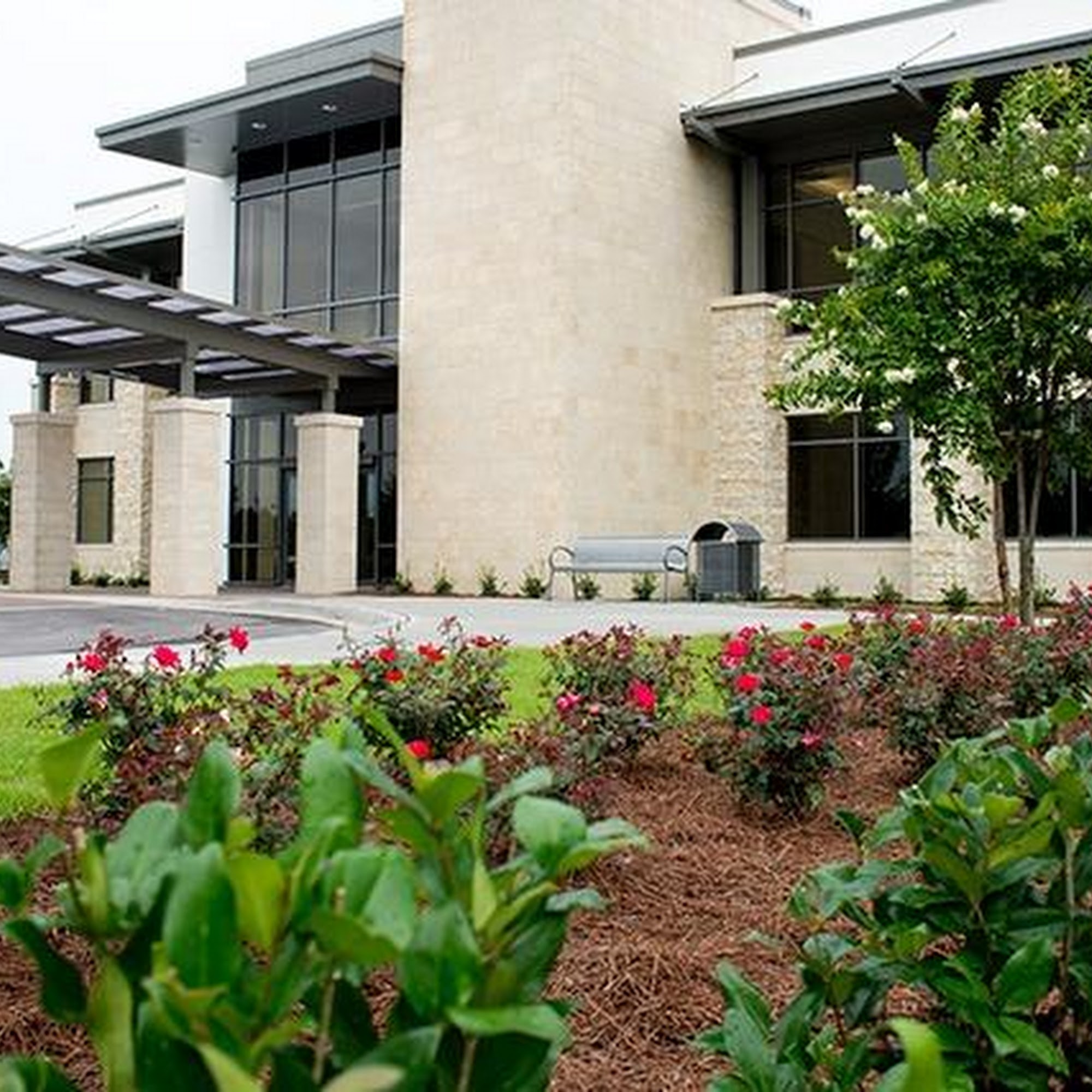 Mayo Clinic Orthopedics and Sports Medicine