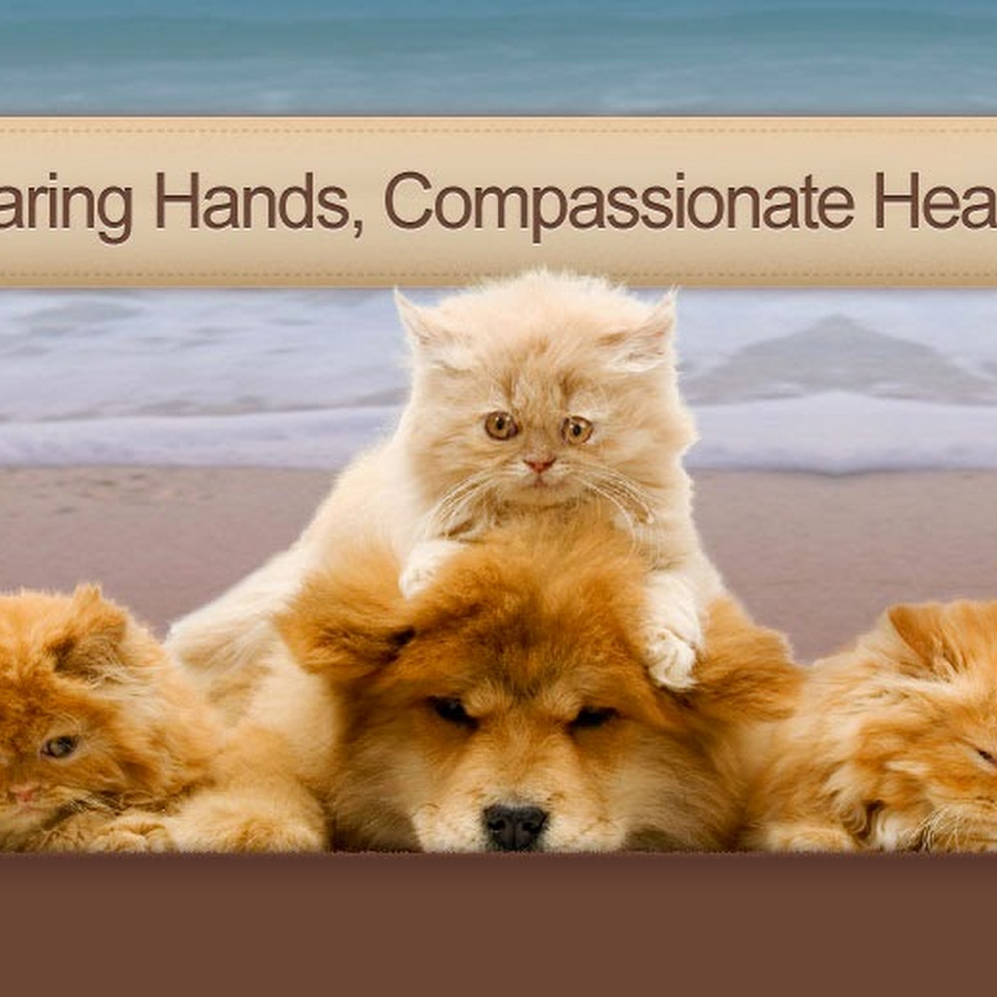 Ocean Breeze Animal Hospital Jensen Beach