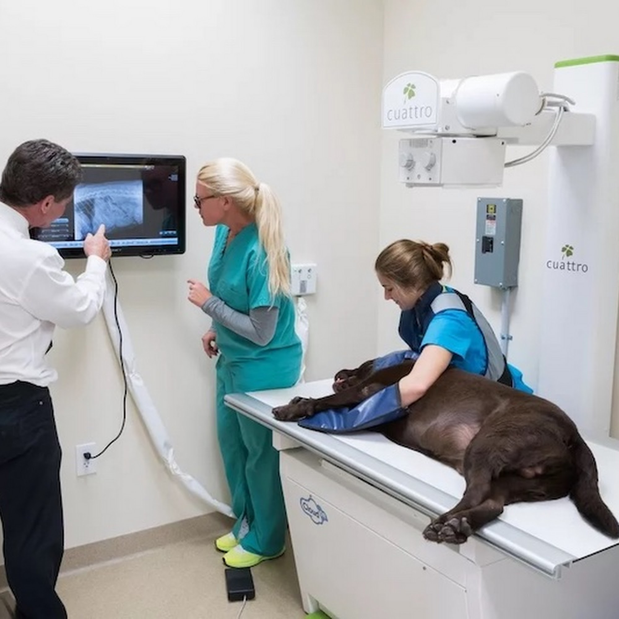 Animal Medical Center of Jupiter Jupiter