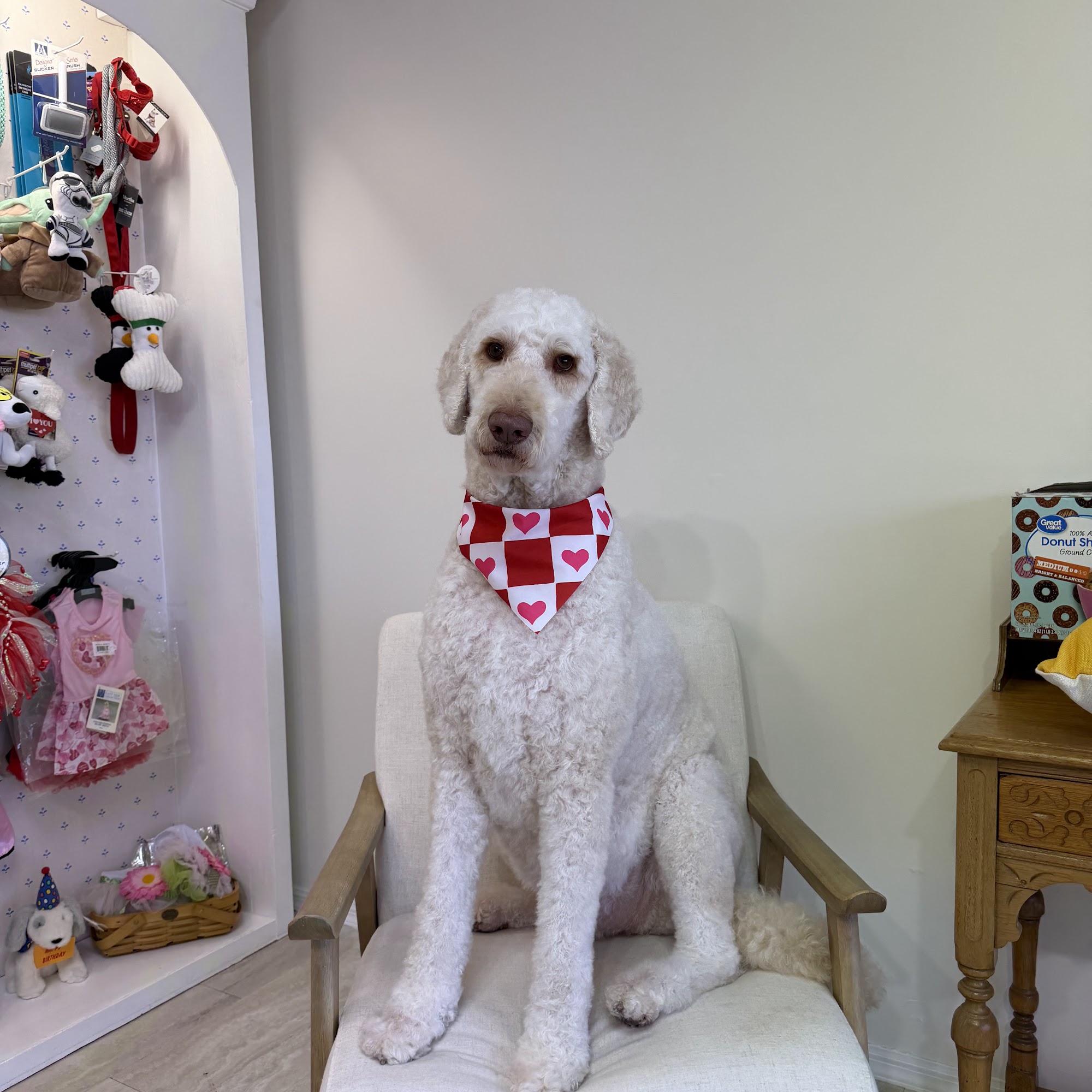 Village Pets Jupiter