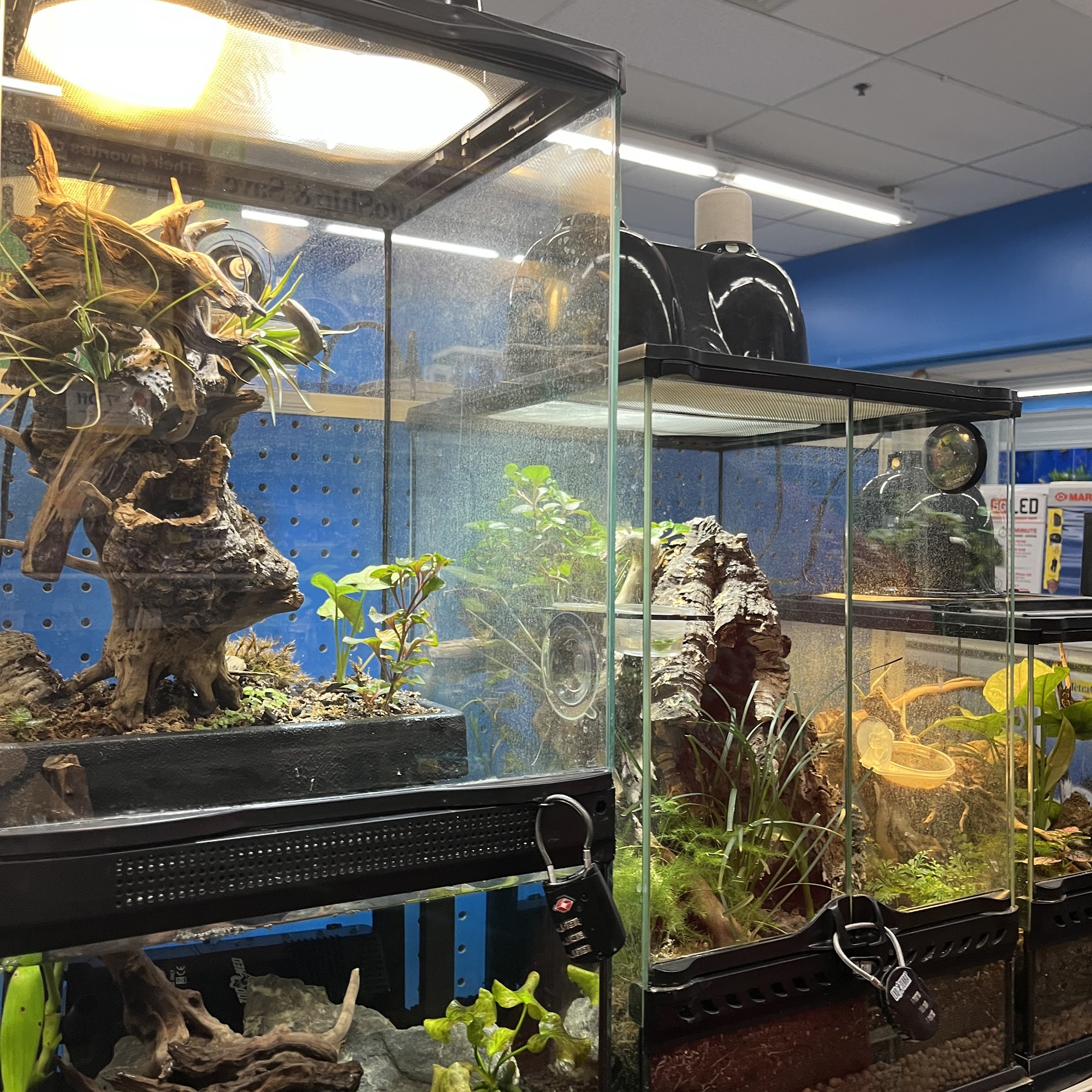 Pet Supermarket Jupiter