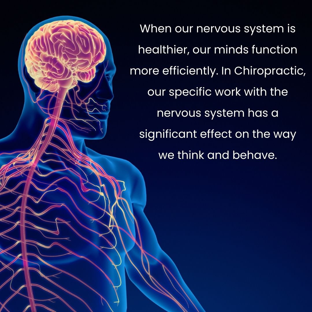 Back to Health Chiropractic Wellness Center - Chiropractor in Jupiter, FL