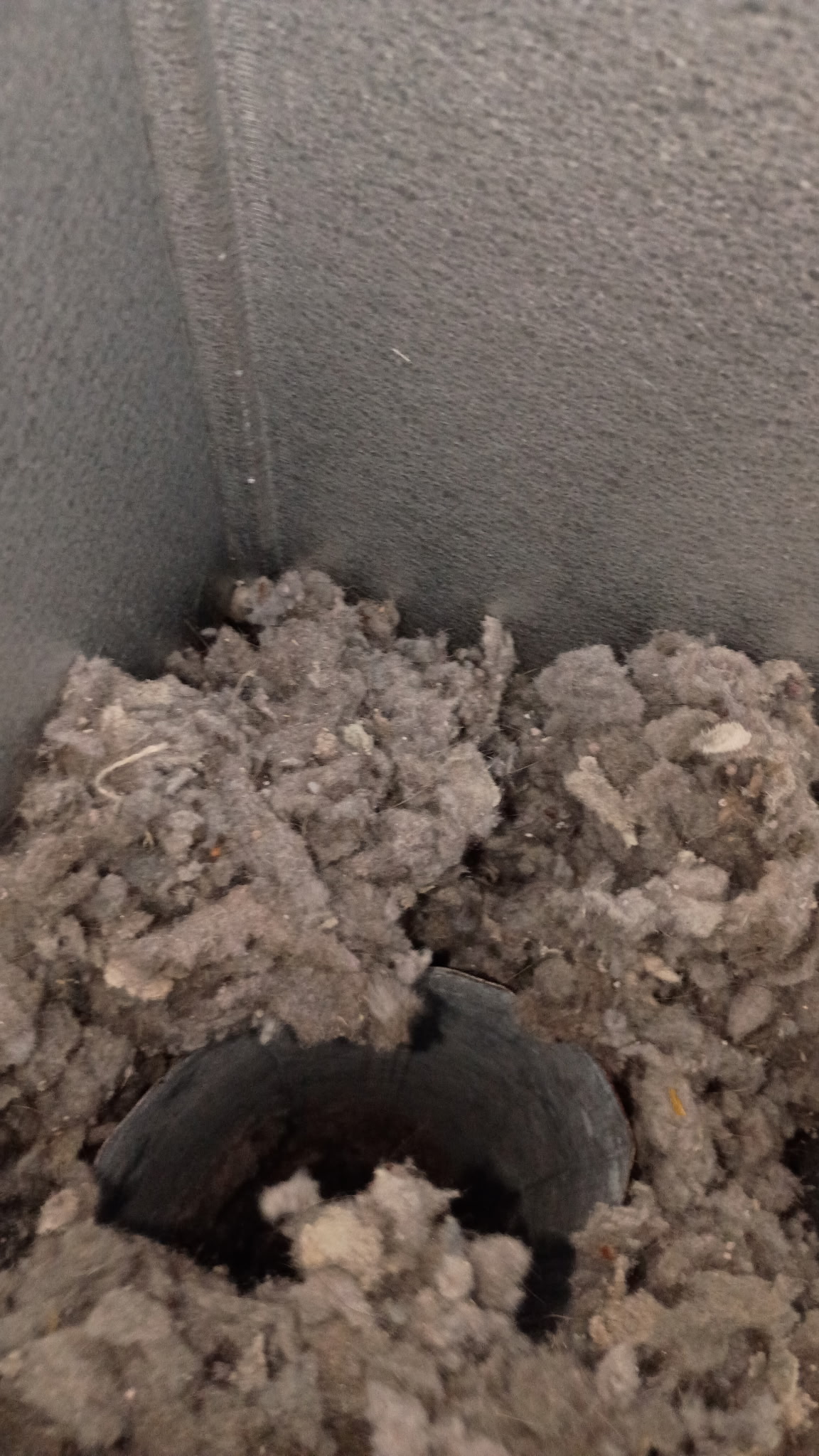 Photo credit: loc8nearme