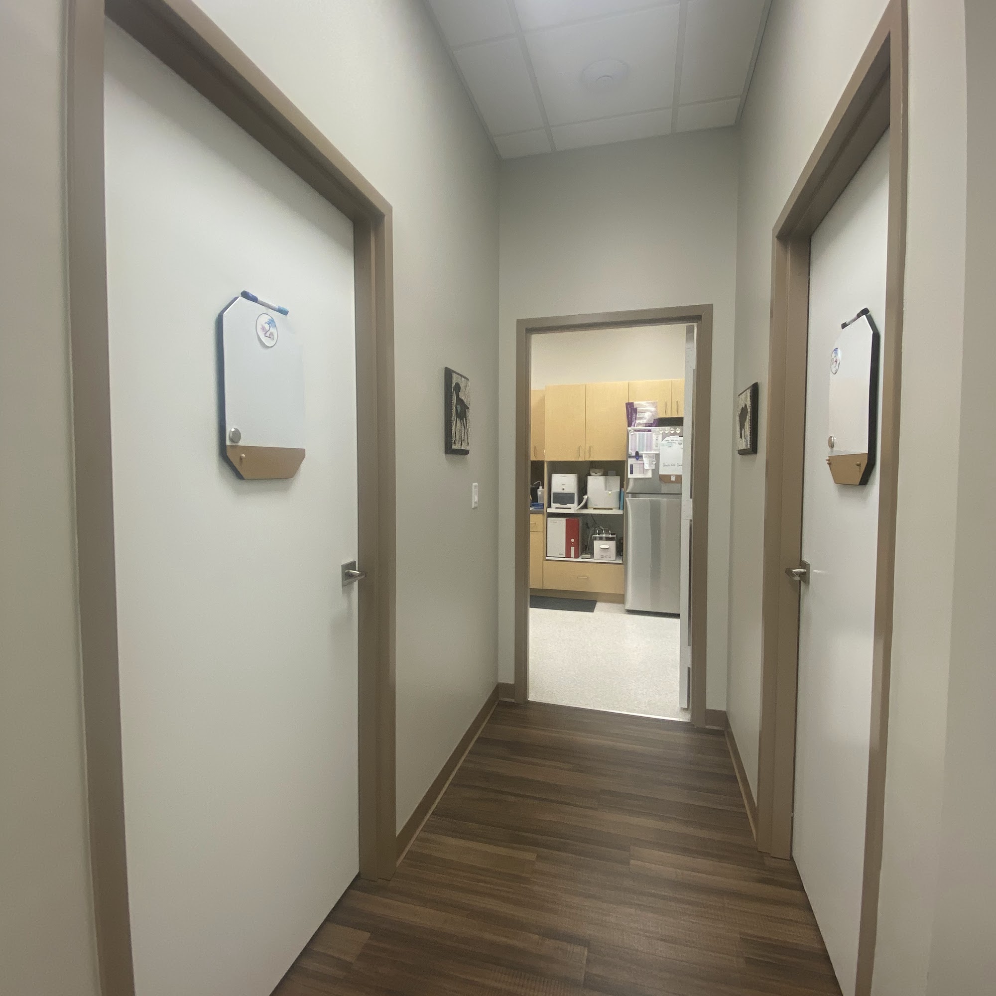 Sunshine Veterinary Hospital Jupiter