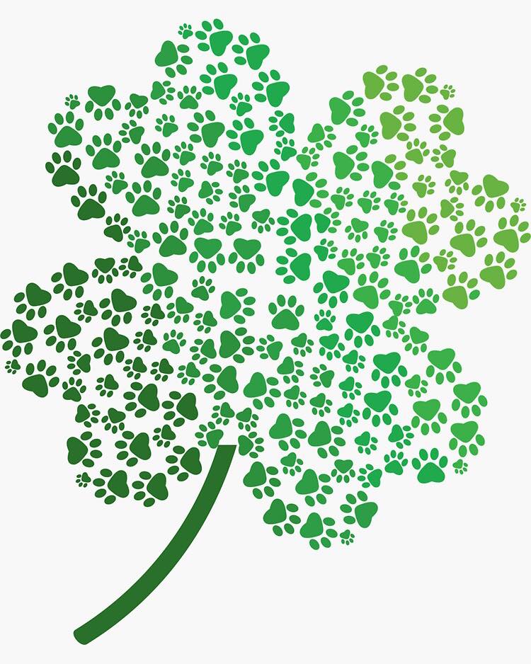 Lighthouse Animal Hospital Jupiter