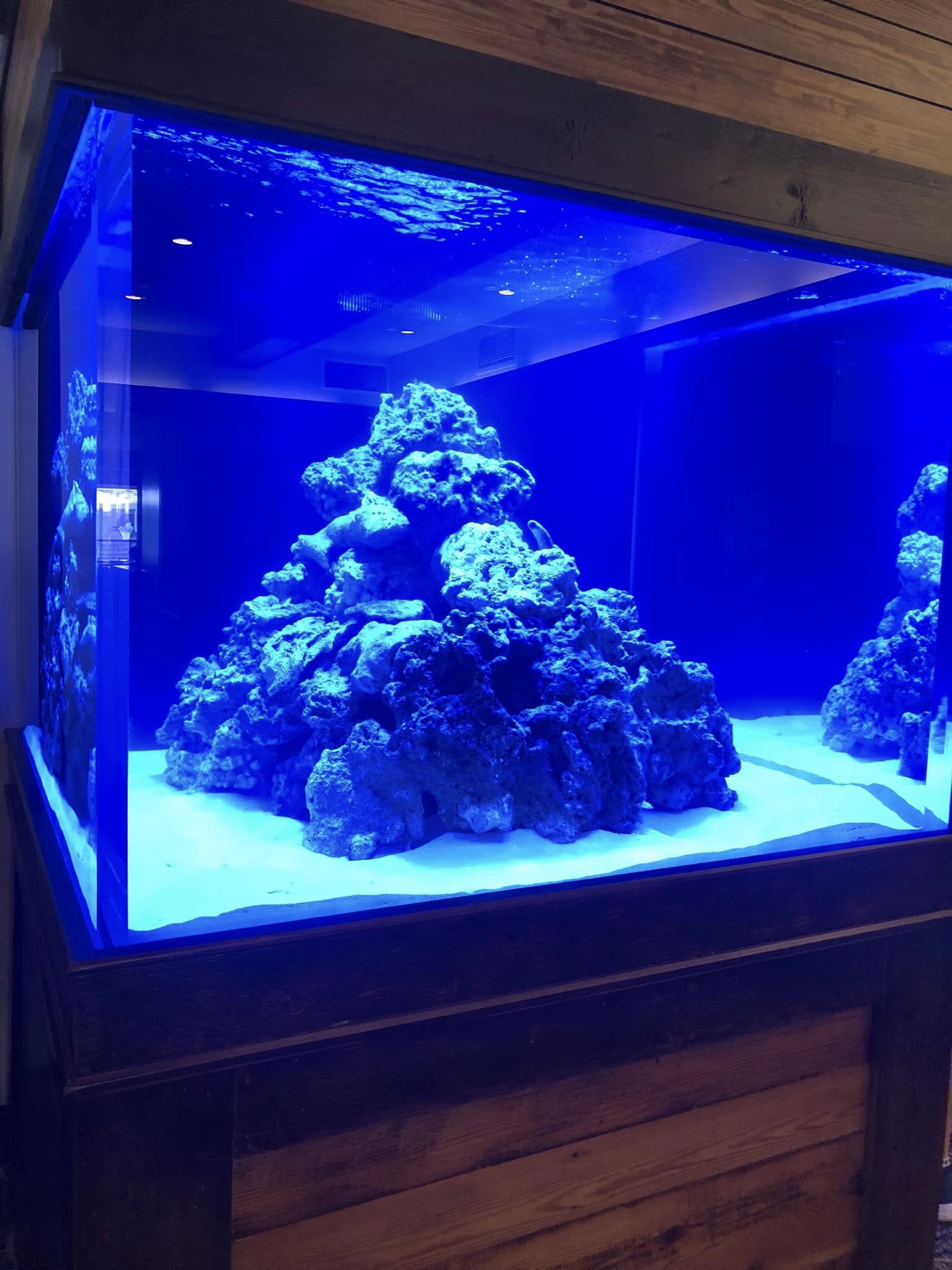 Indoor ocean aquariums Jupiter