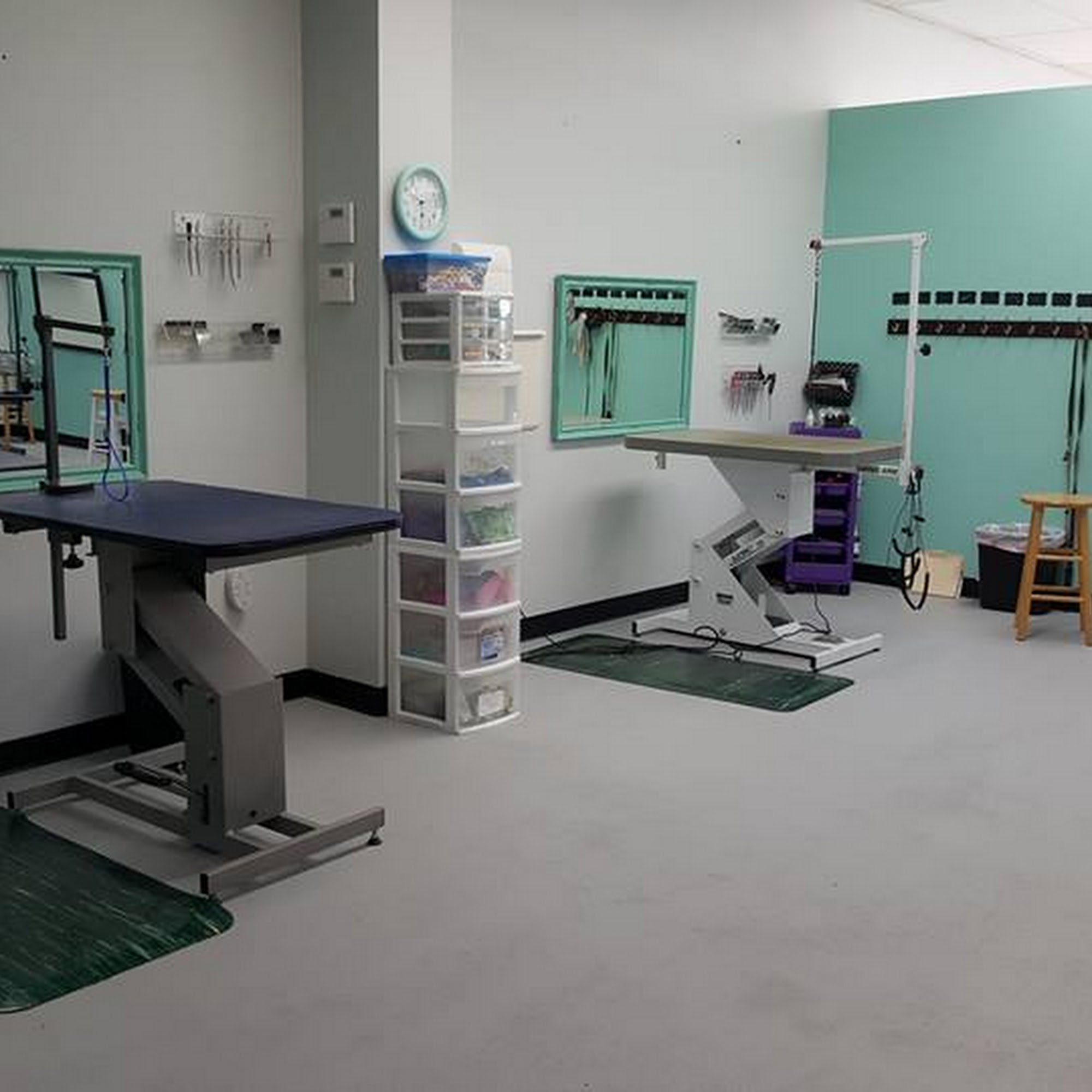 Bath & Biscuit Pet Boutique Kenneth City