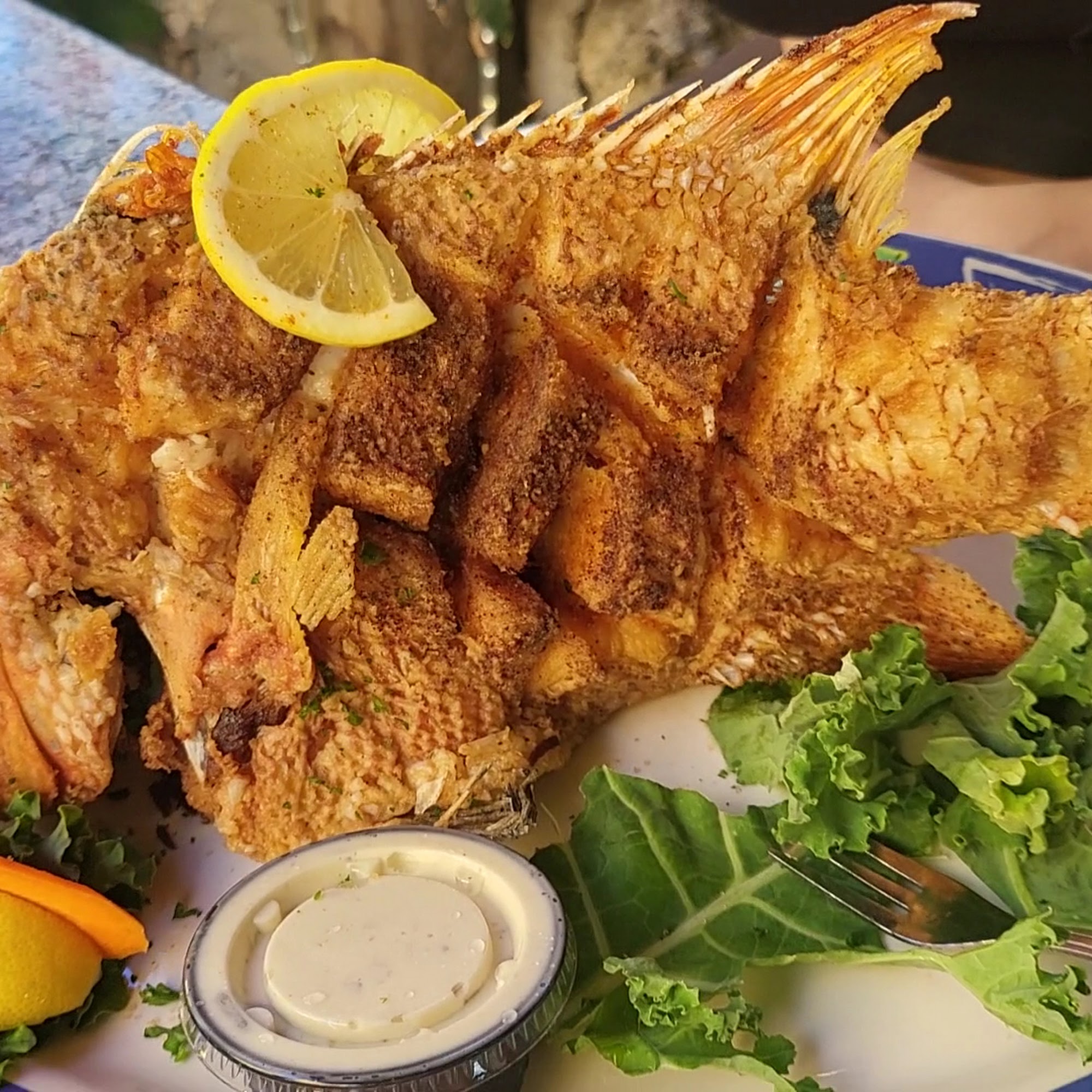 Lazy Lobster Seafood Restaurant Key Largo