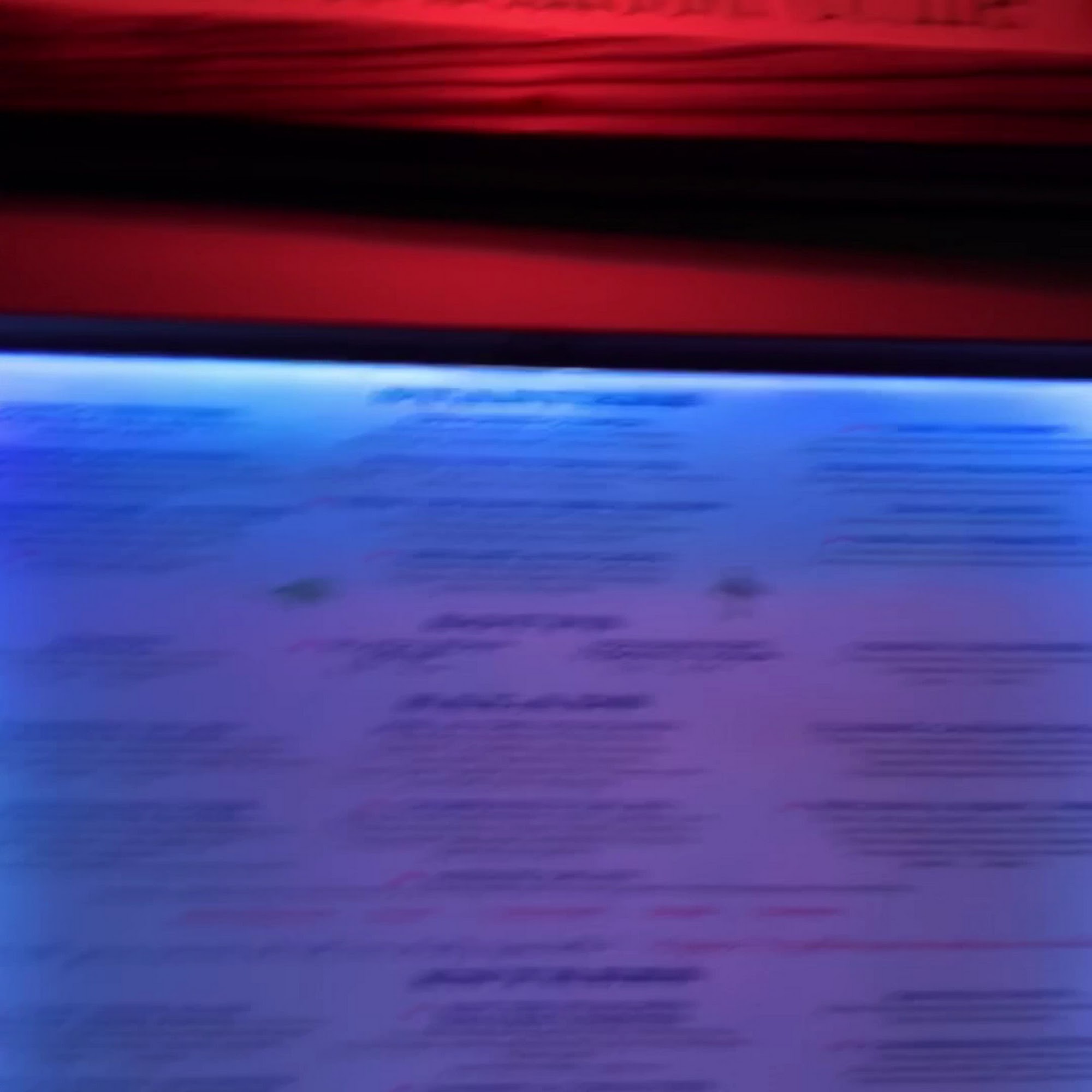 Sal's Ballyhoo's Key Largo