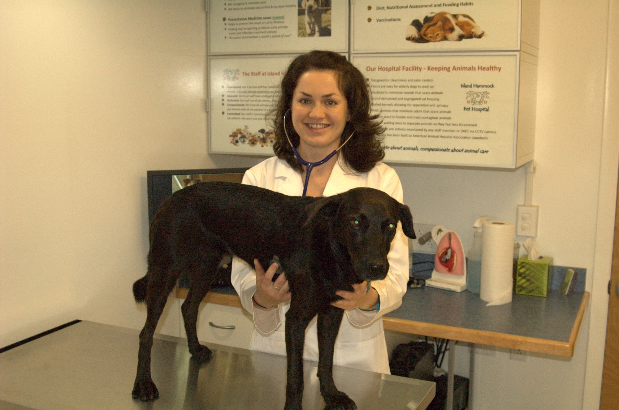 Island Hammock Pet Hospital Key Largo