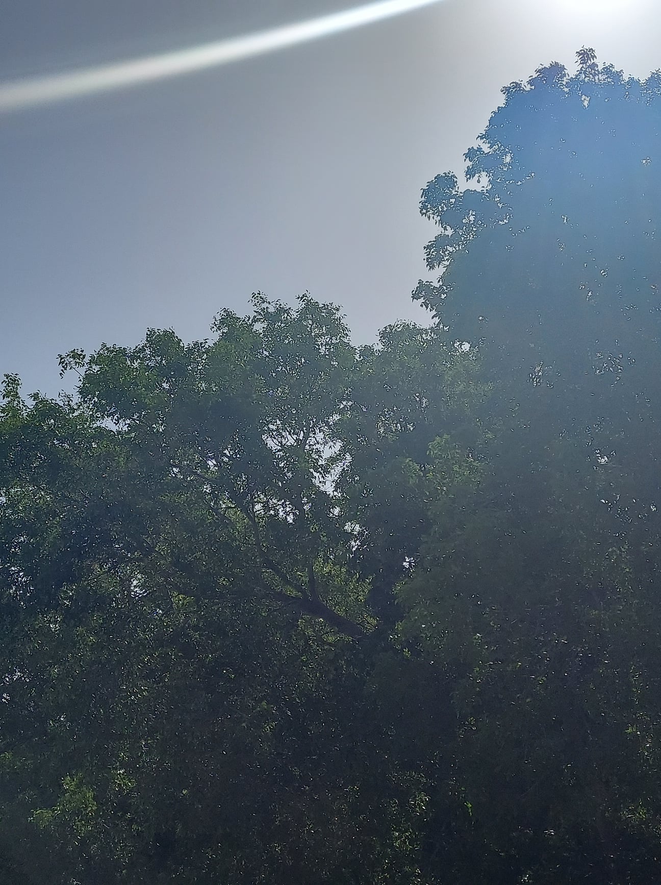 Vogt Spear Construction