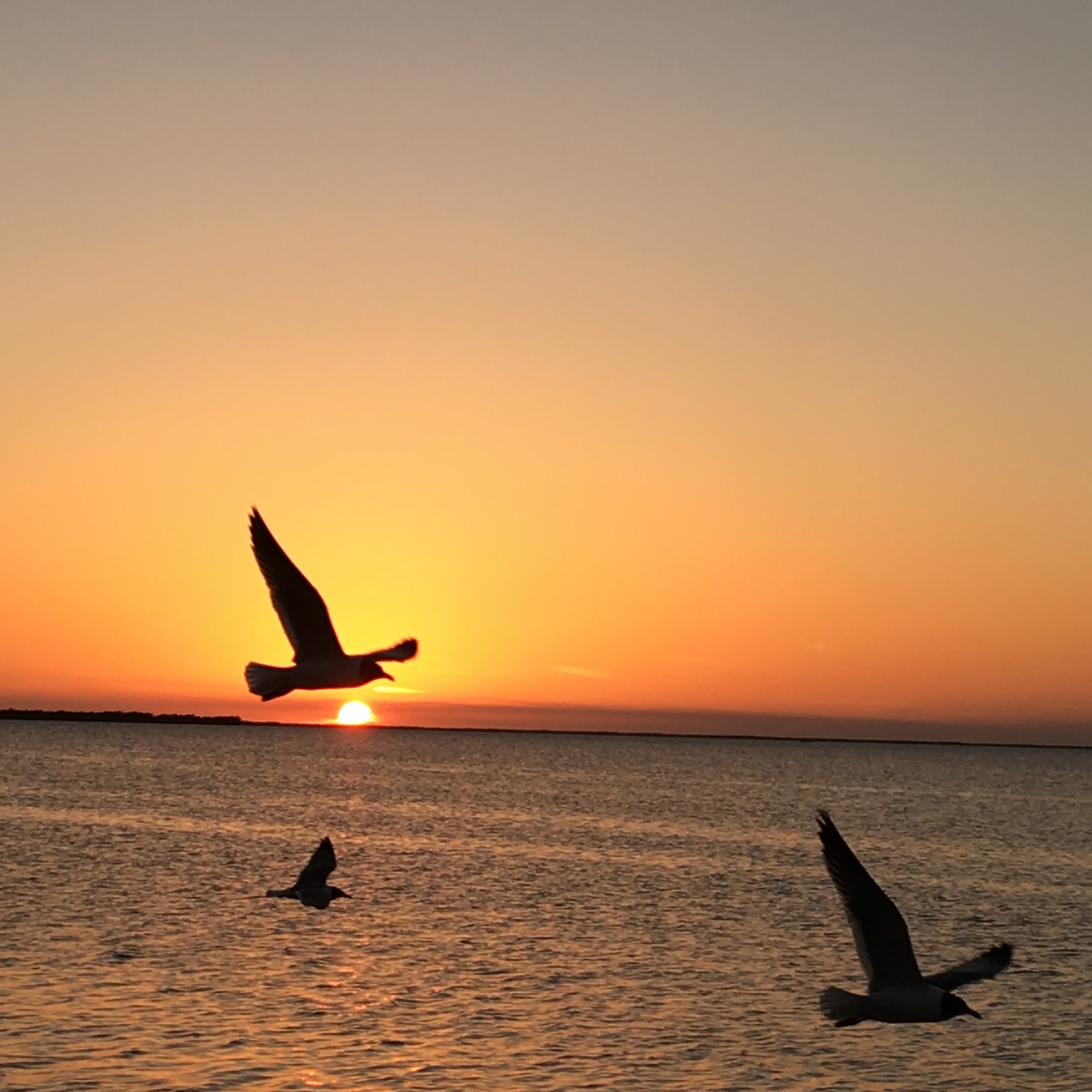 Kinder In The Keys | Women's Mental Health Treatment Center