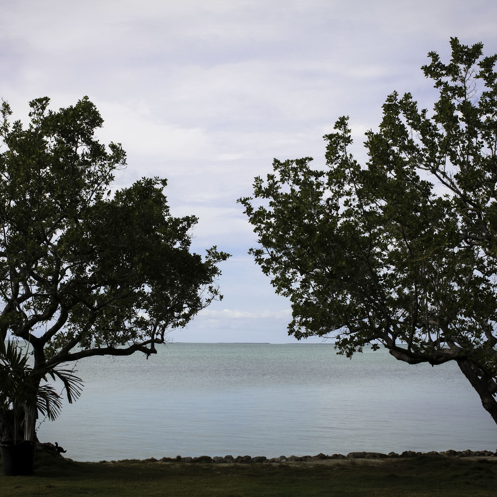 Bennetts Beach Estate, Joyce Bennett, LLC Key Largo