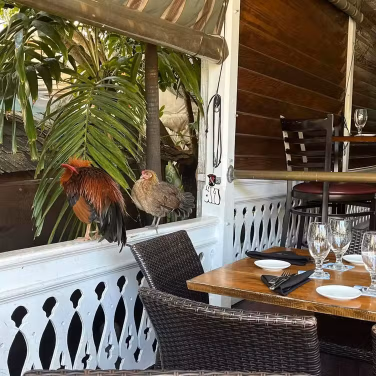 Photo credit: opentable