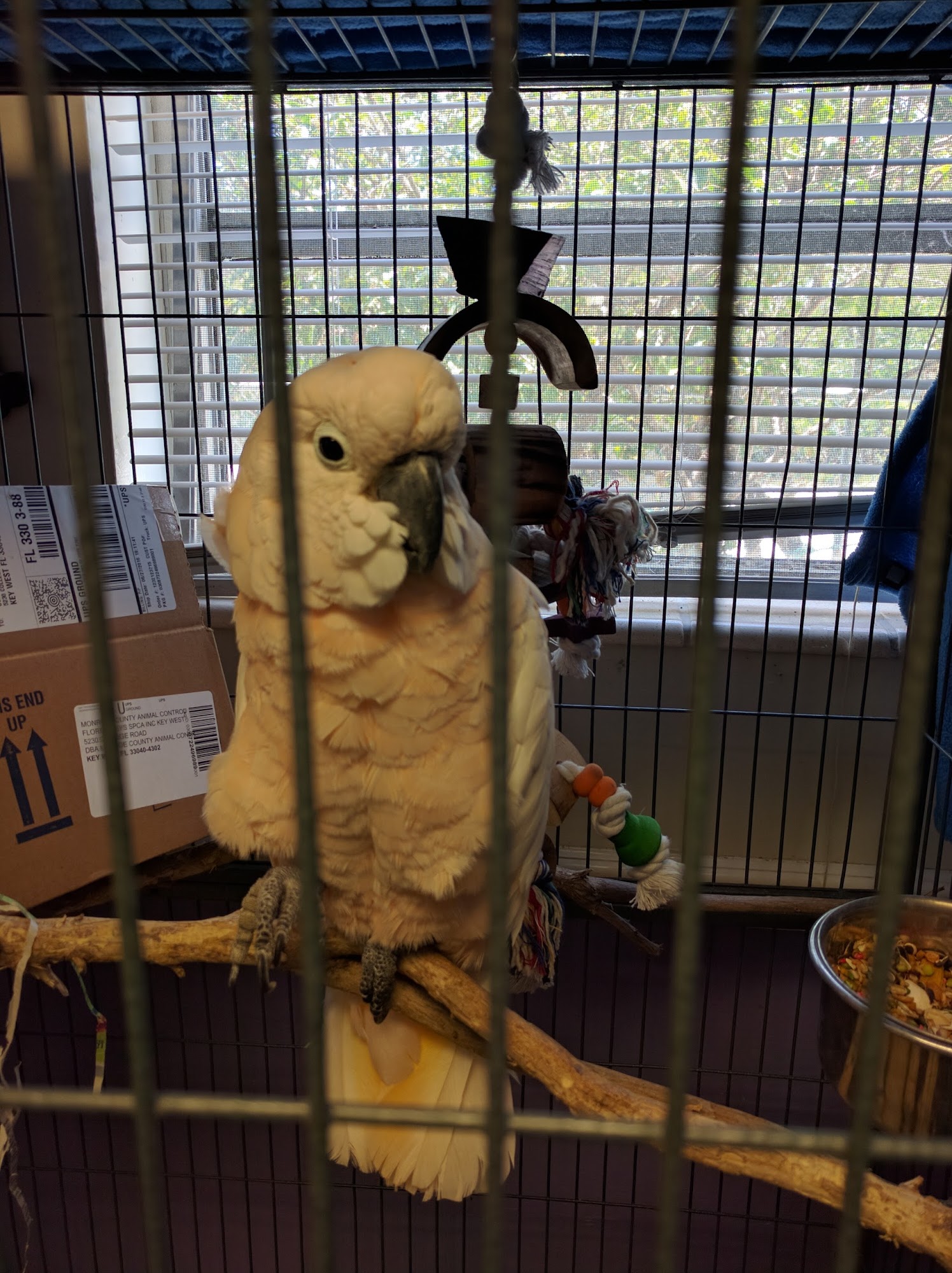 Florida Keys SPCA, Inc. Key West