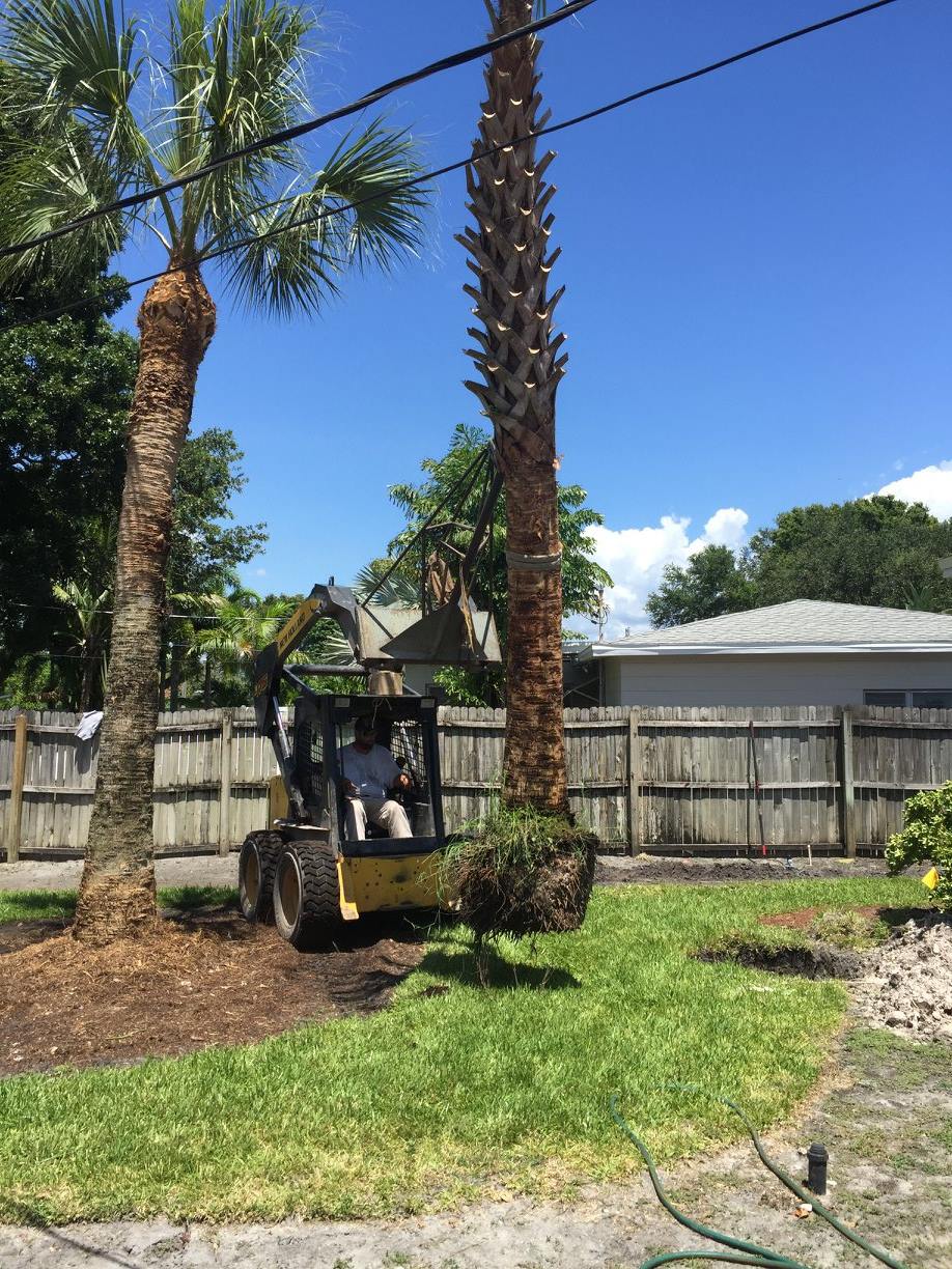 Native Landscape Design