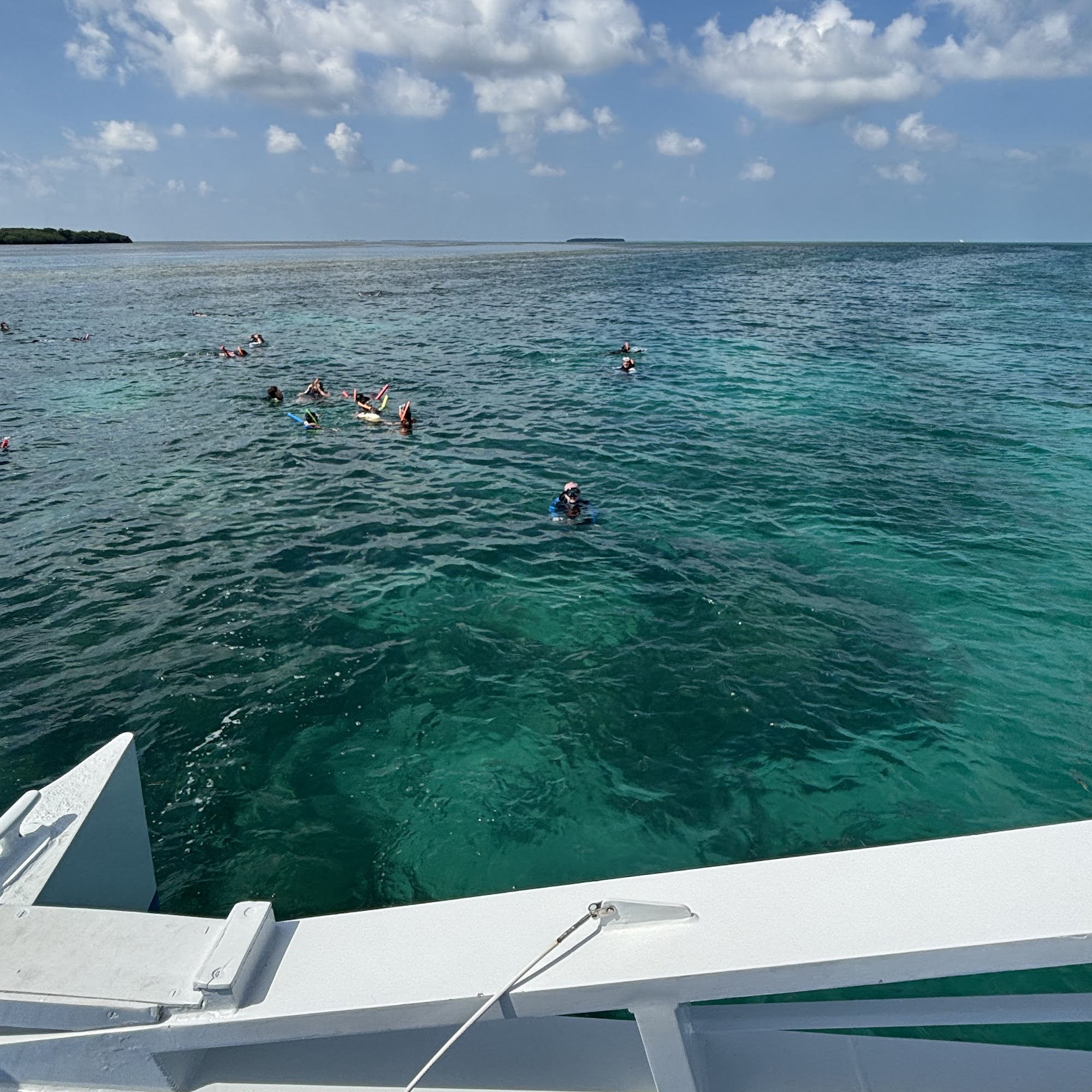 Key West Snorkeling Trips Key West