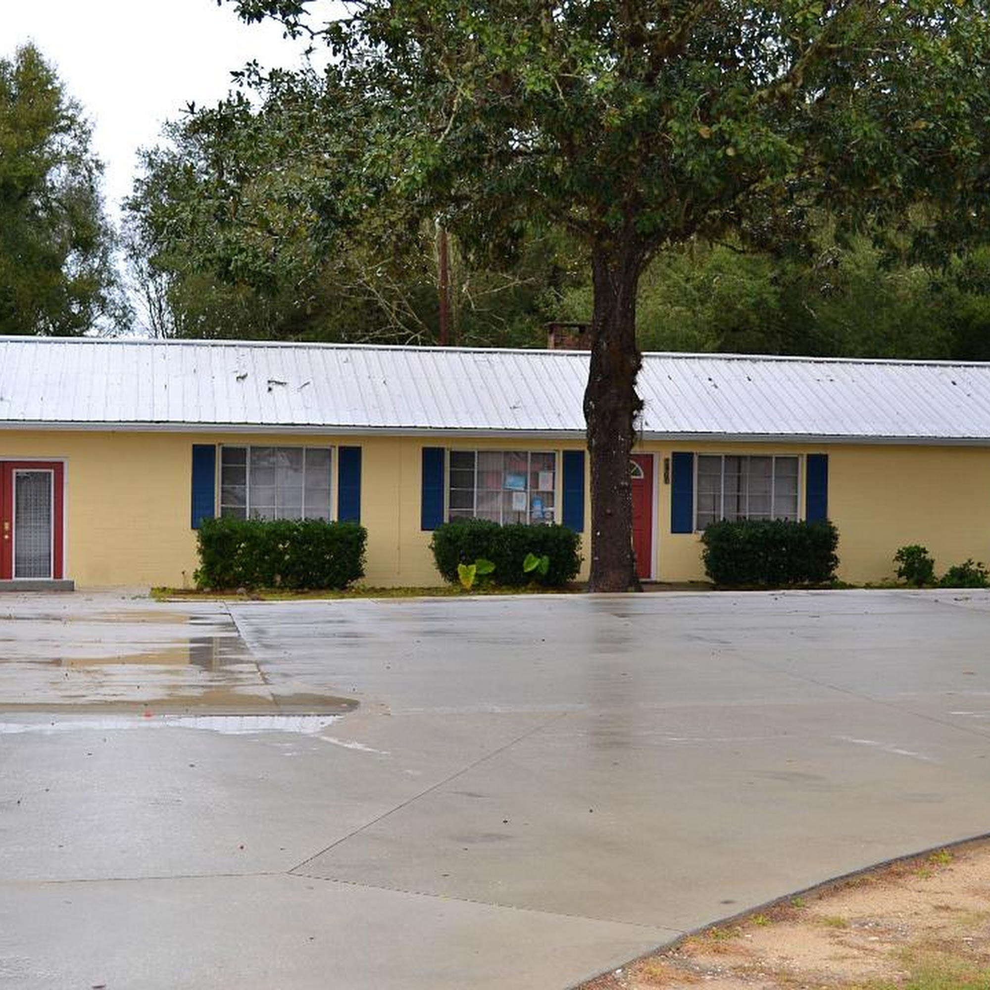 Springlake Animal Hospital Keystone Heights