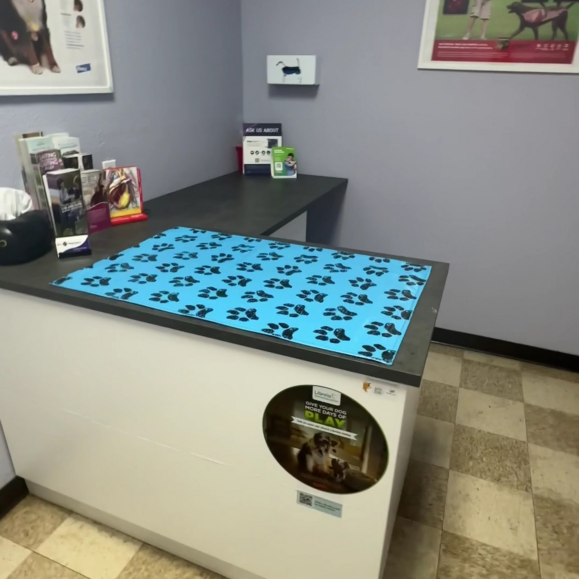BVL Veterinary Hospital Kissimmee