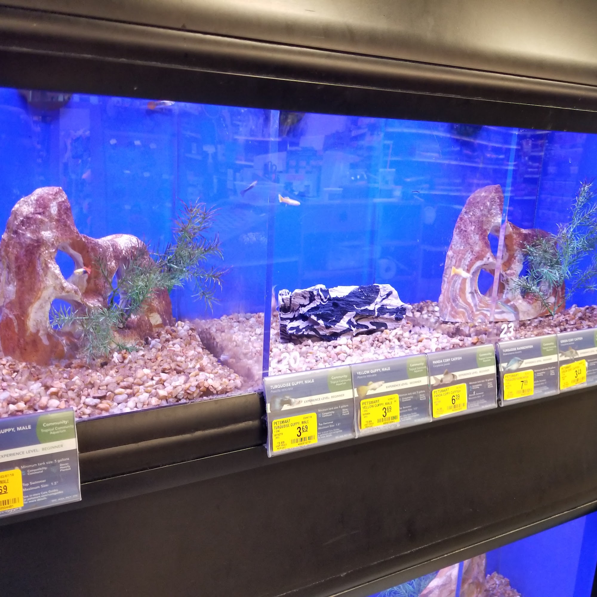 PetSmart Kissimmee