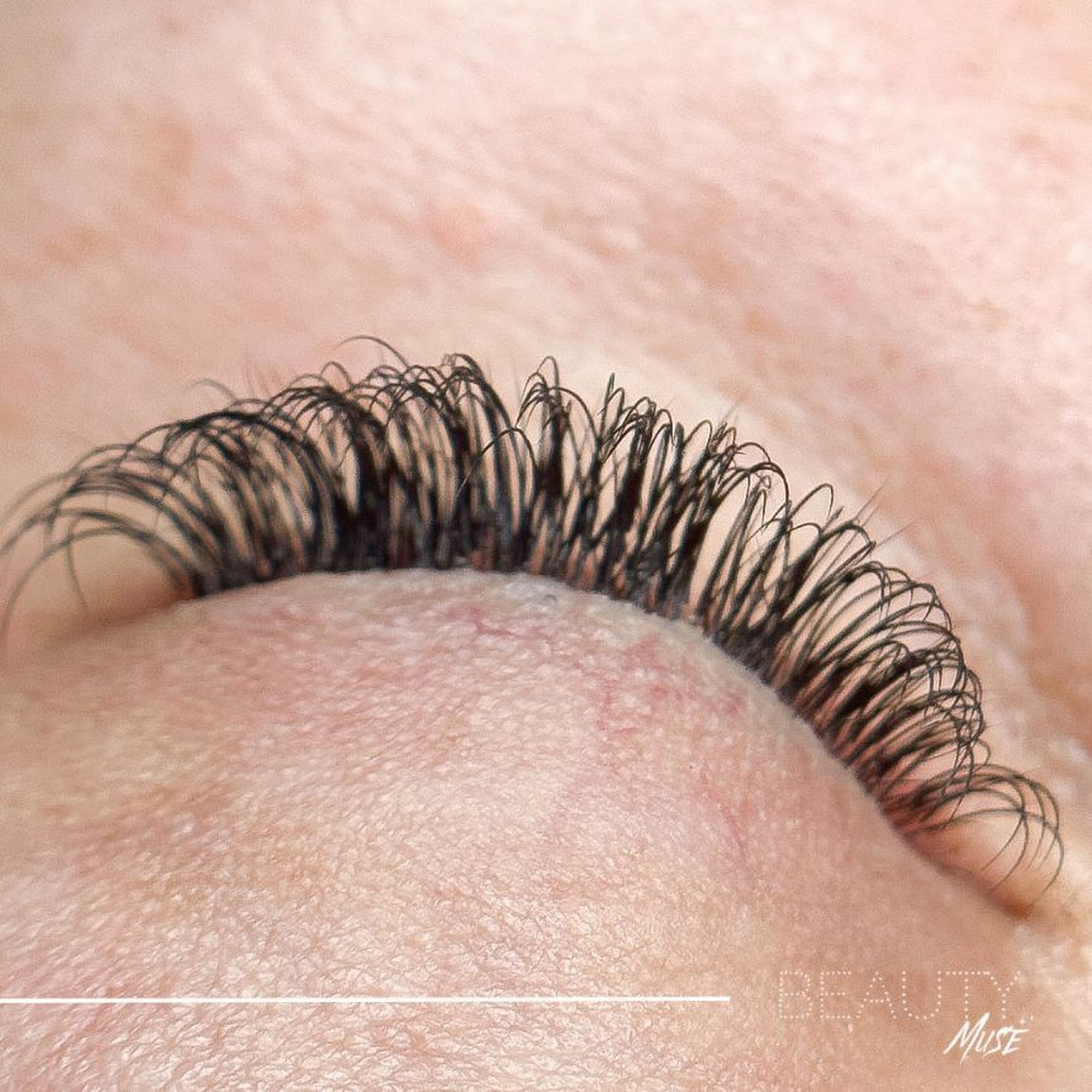 Beauty Muse 2837 E Lake Pointe Dr, Kissimmee Florida 34744