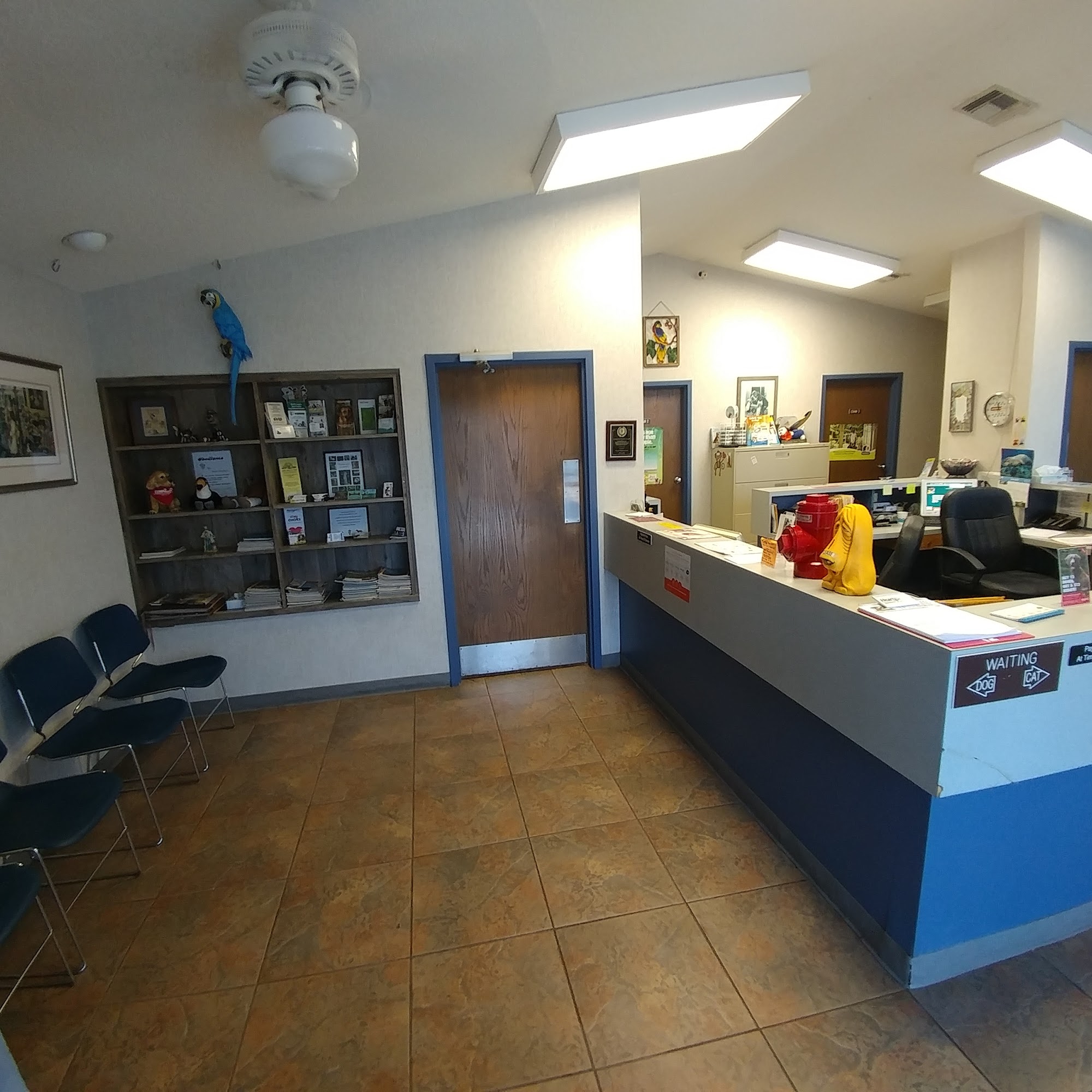 Animal Clinic of Lady Lake Lady Lake