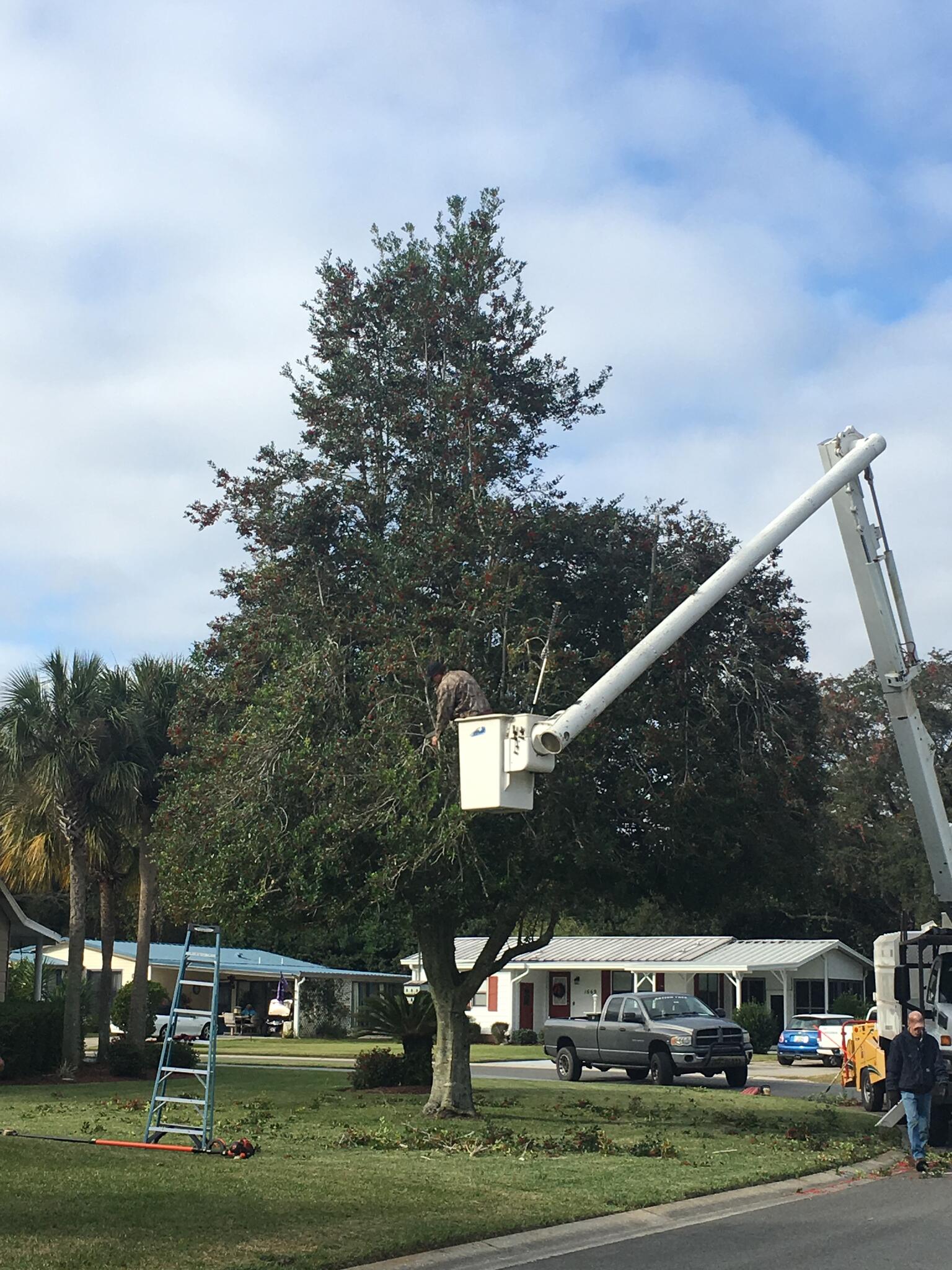 Photo credit: nextdoor