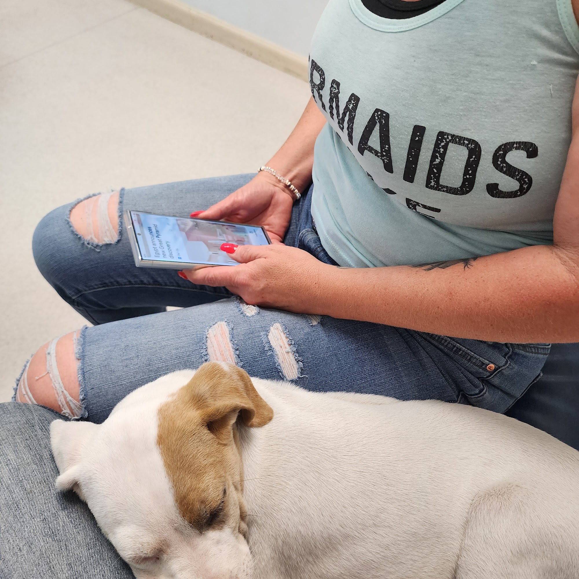 Caring Hands Animal Hospital Lake City