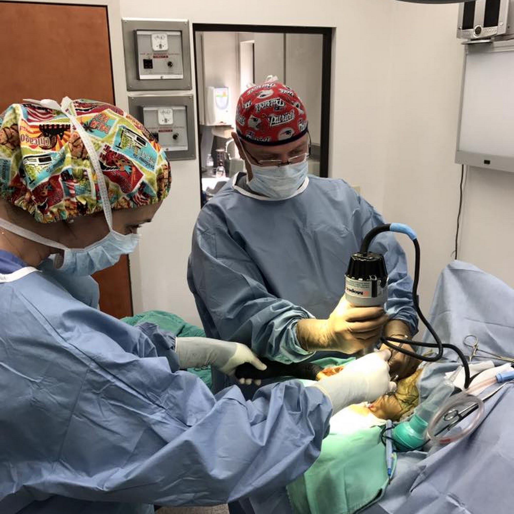 Lake City Animal Hospital Lake City