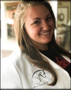 Advanced Mobile Vet Lake Mary