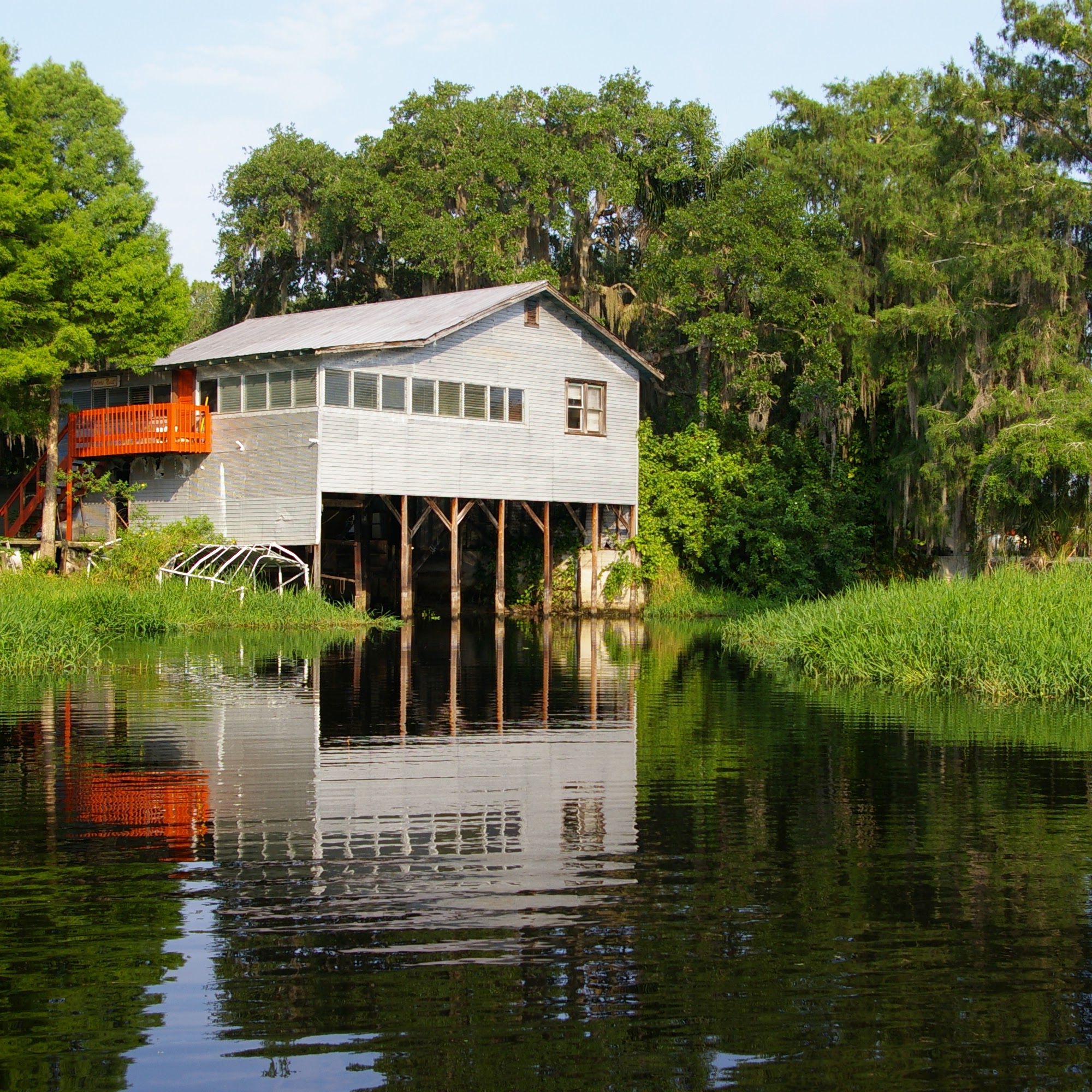 Alligators Unlimited Nature Tours Lake Wales