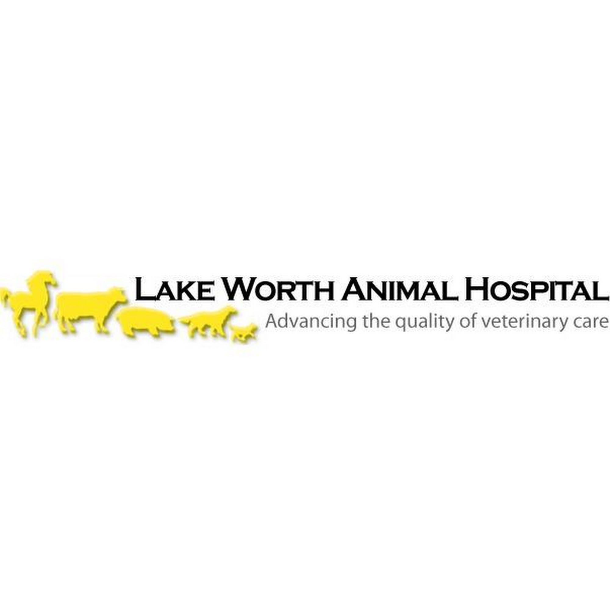 Lake Worth Animal Hospital Lake Worth