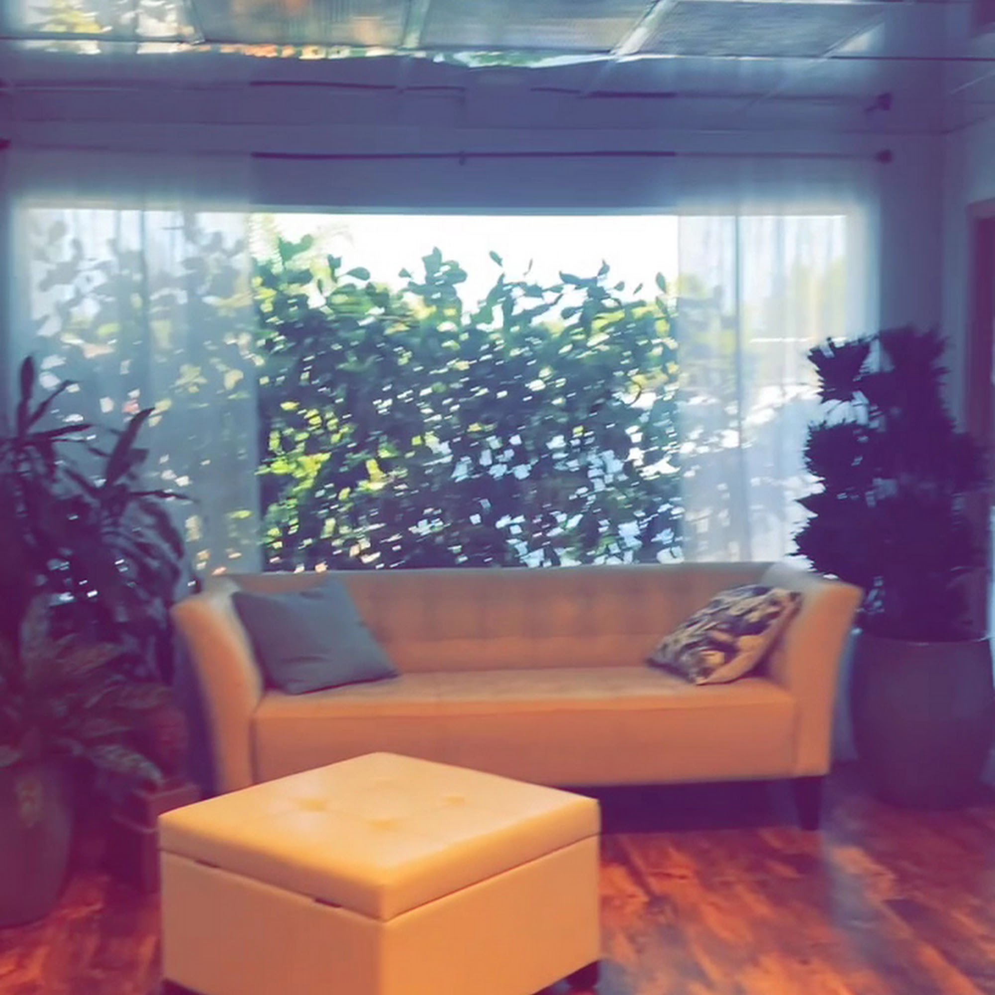 Gentle Pet Crossing - Aquamation Services Lake Worth