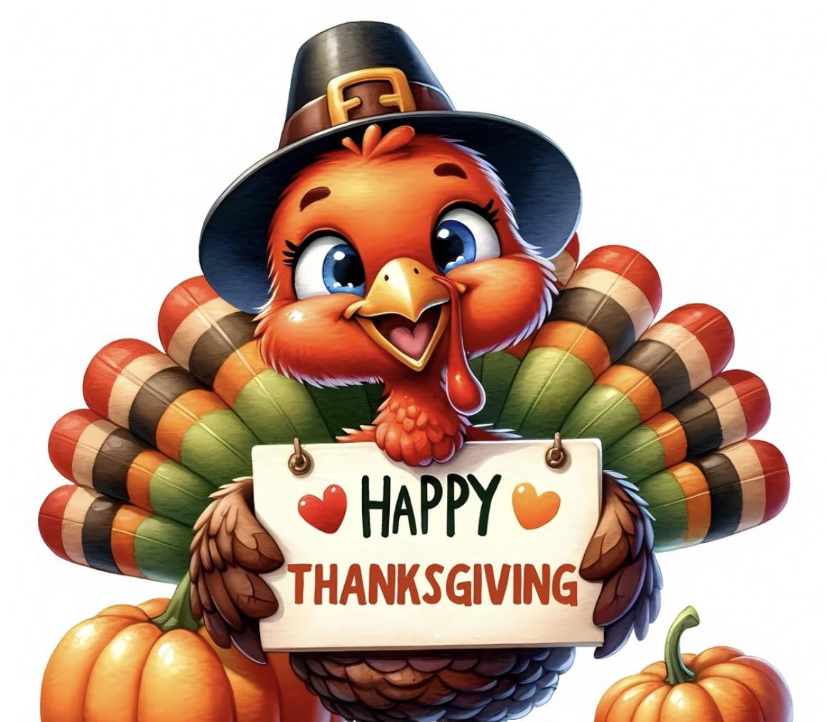 Salty Dog Grooming Lake Worth