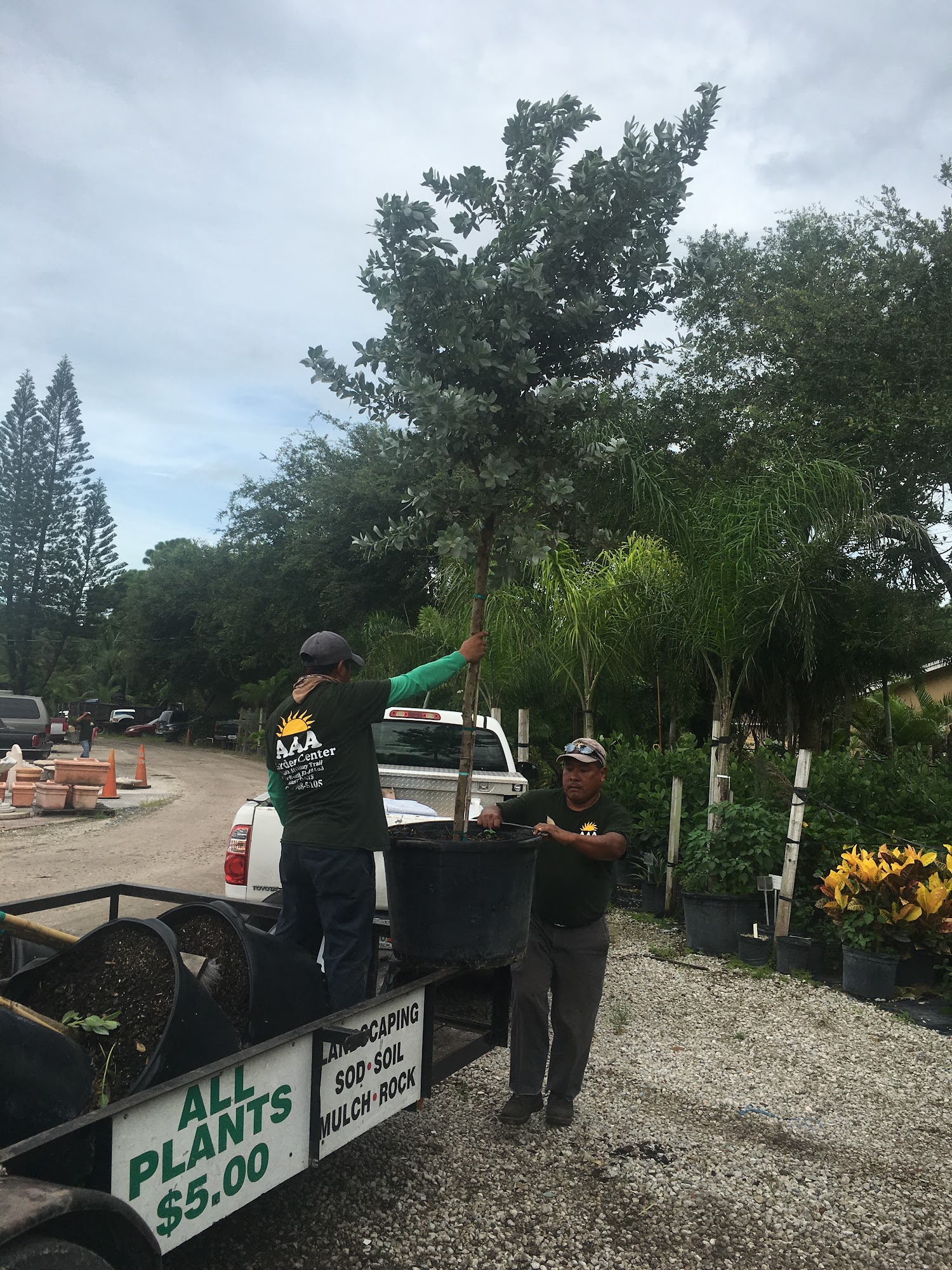 AAA Garden Center Lake Worth
