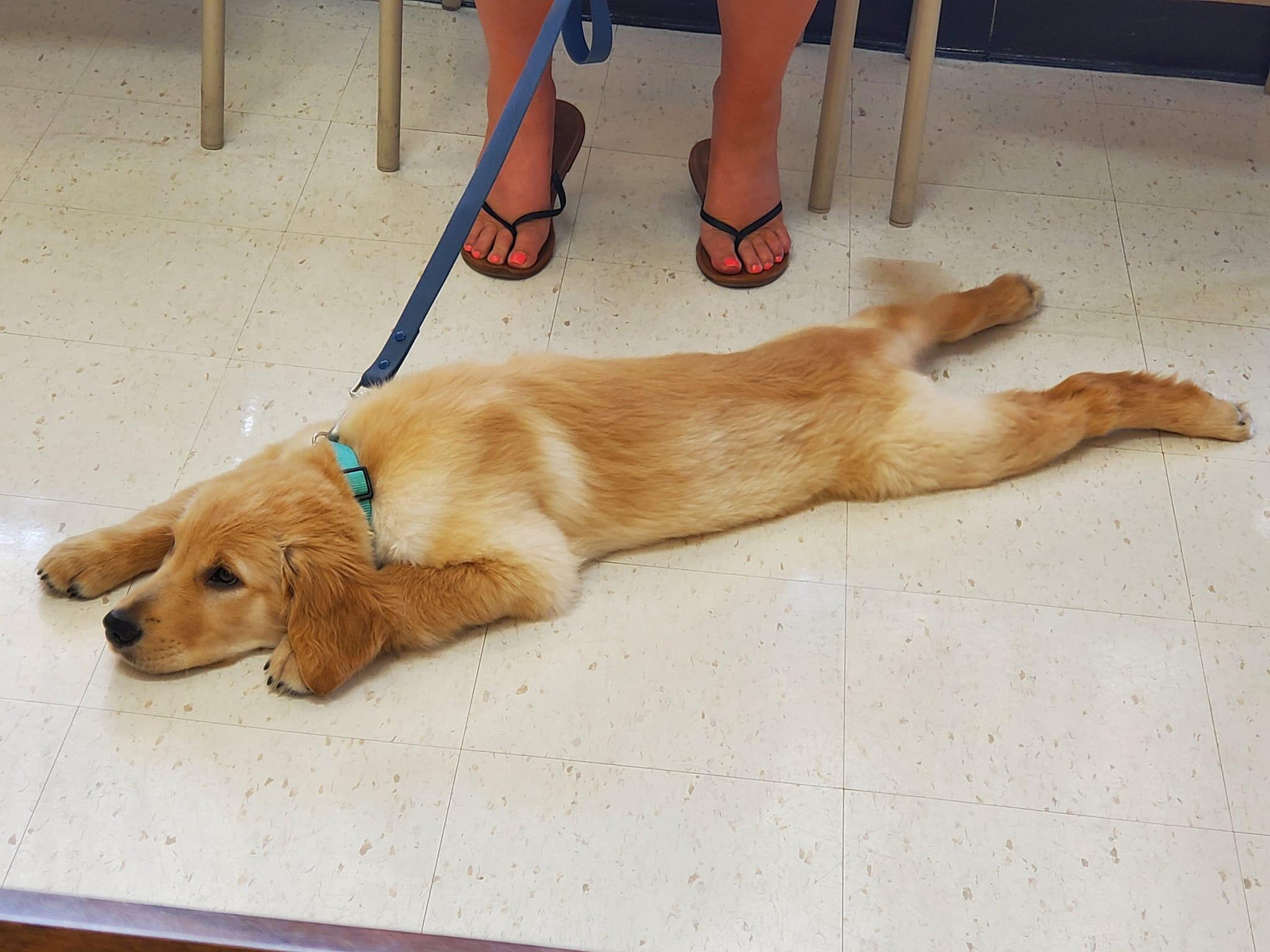 Photo credit: nextdoor