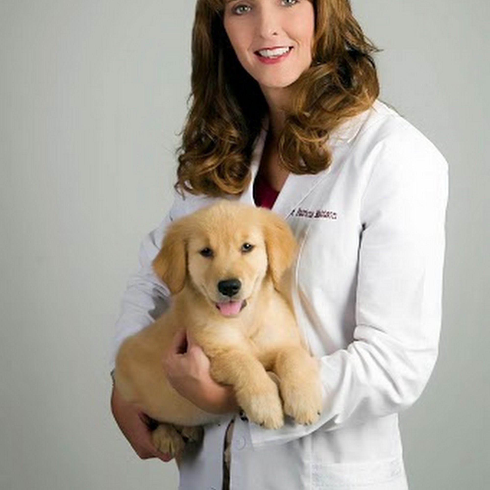 Companion Animal Hospital Lakeland