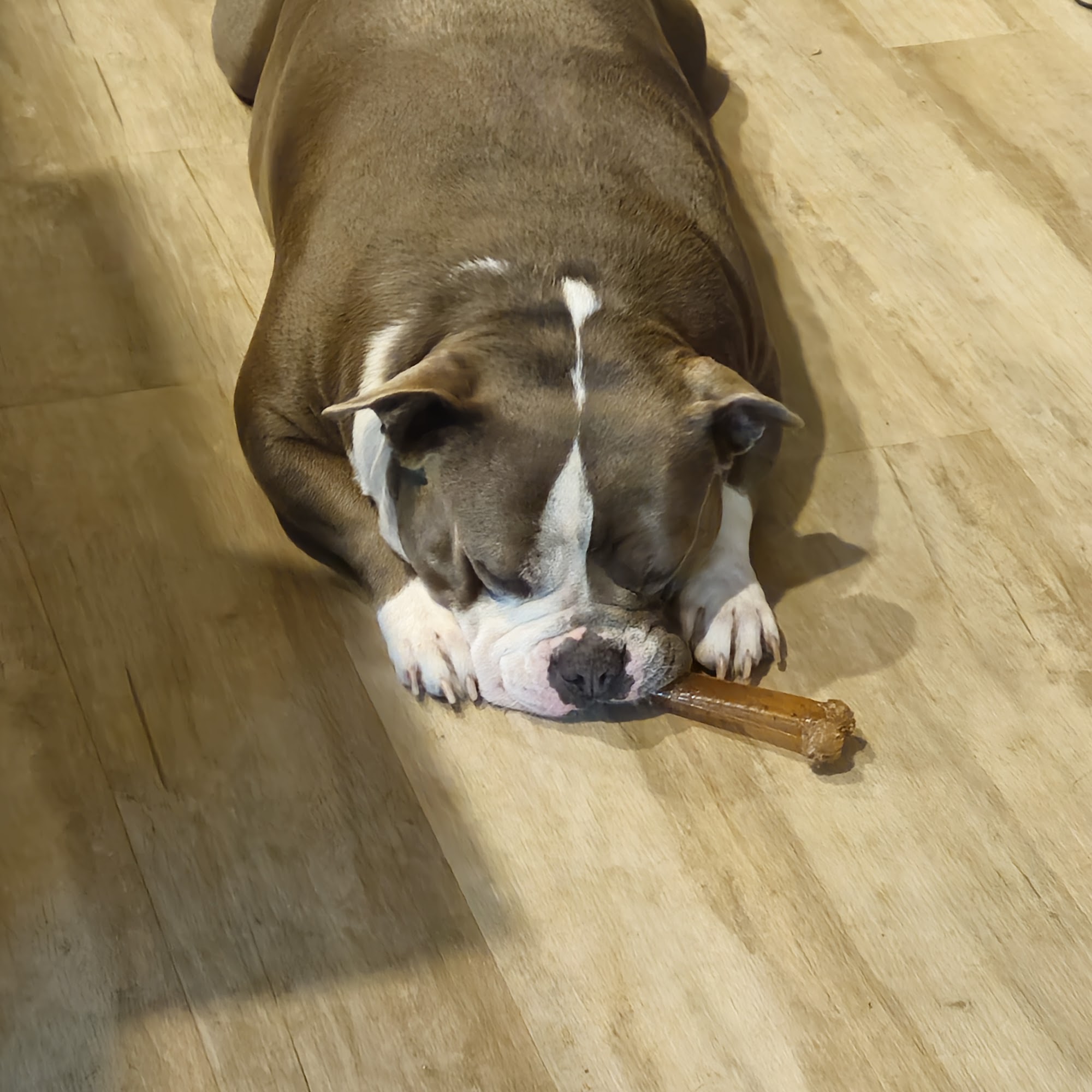 Parkway Veterinary Emergency Clinic Lakeland