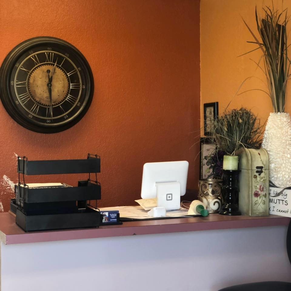 THE DOG HOUSE Grooming Salon Lakeland
