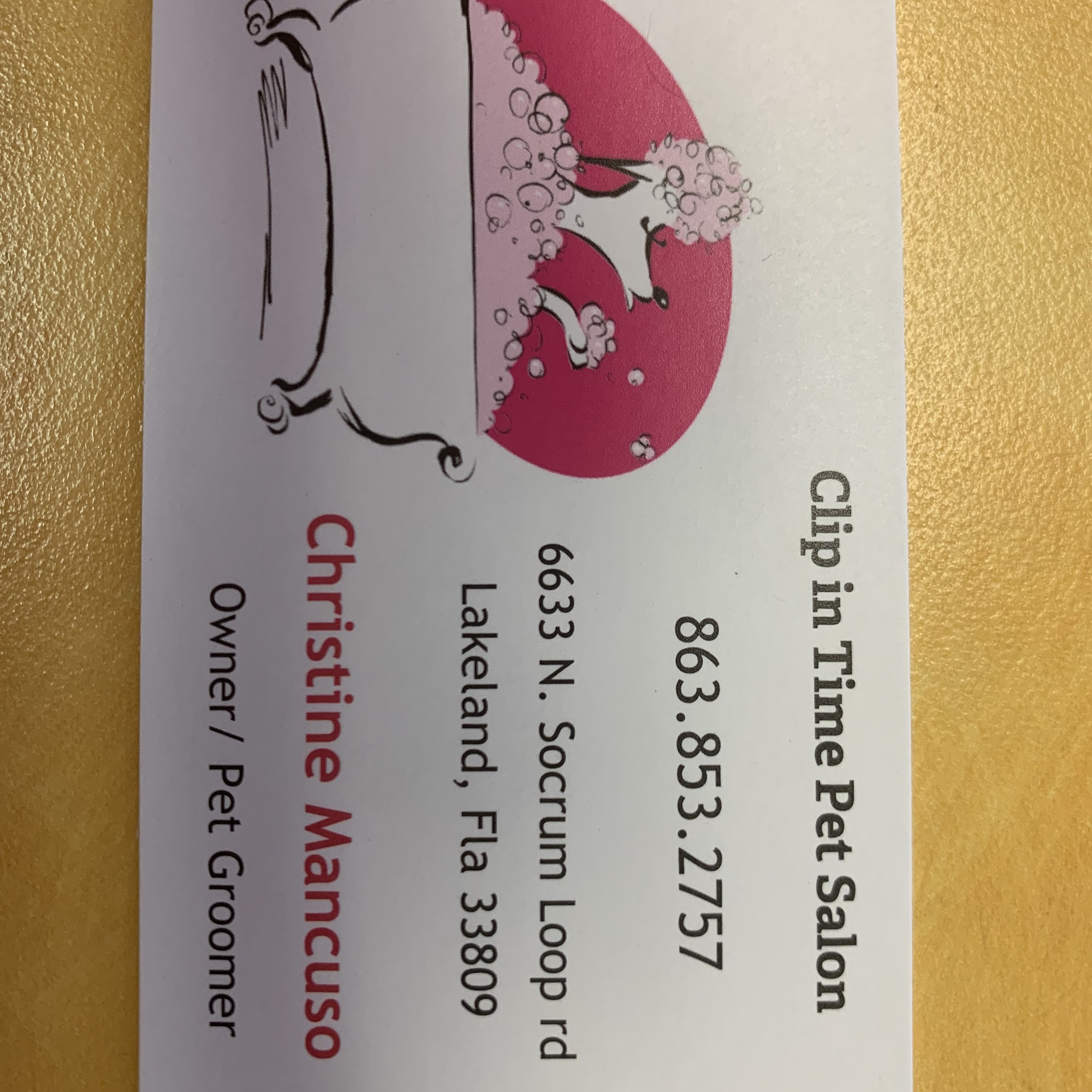 Clip in Time Pet Salon Lakeland