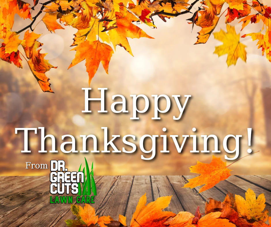 Green Cuts Lawn Care