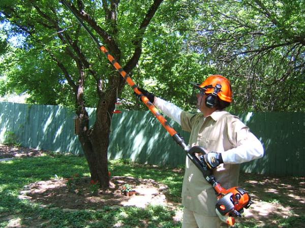 Arbor Tree Care