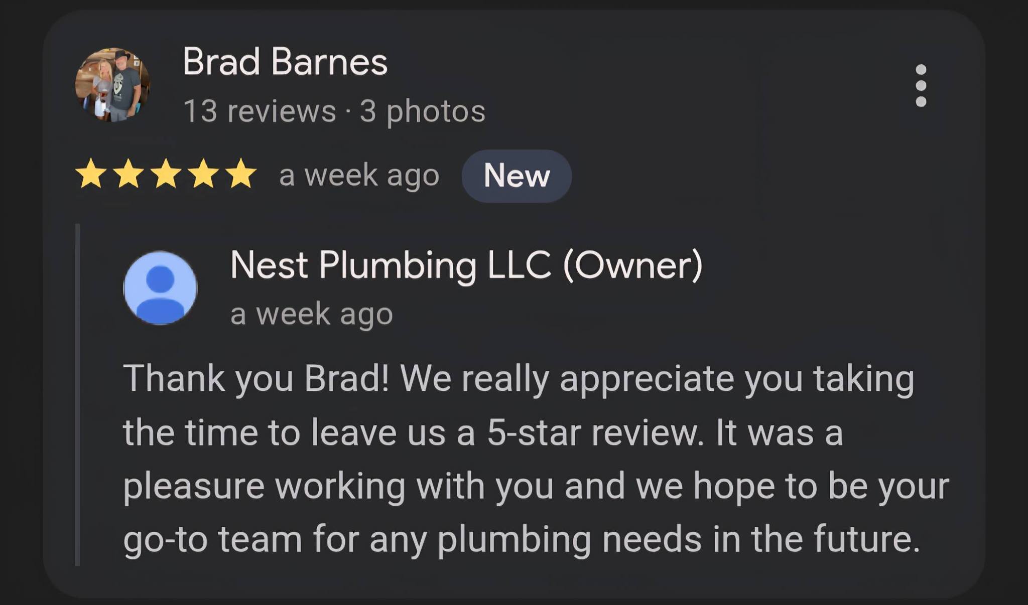 Nest Plumbing LLC