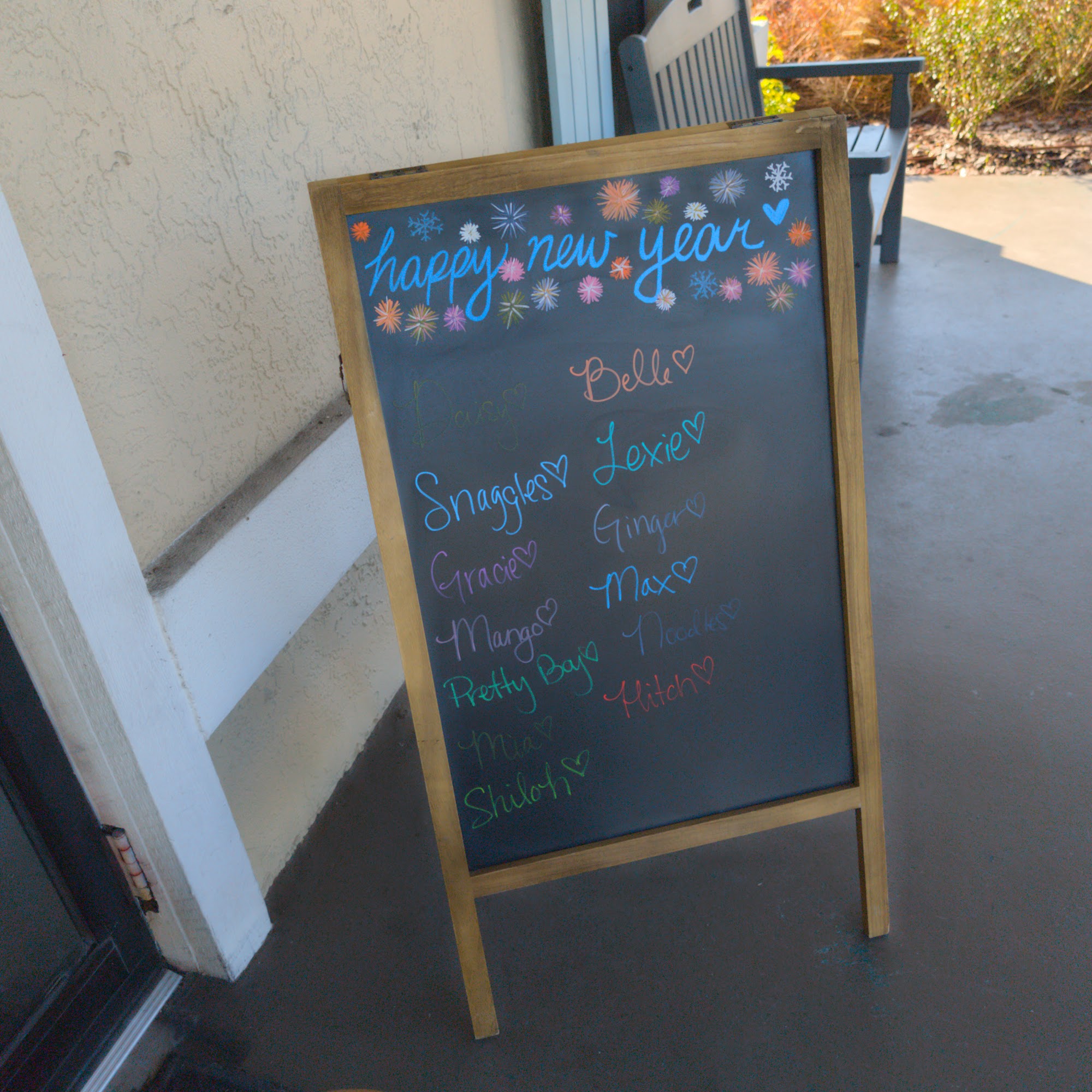 Land O Lakes Animal Hospital Land O' Lakes