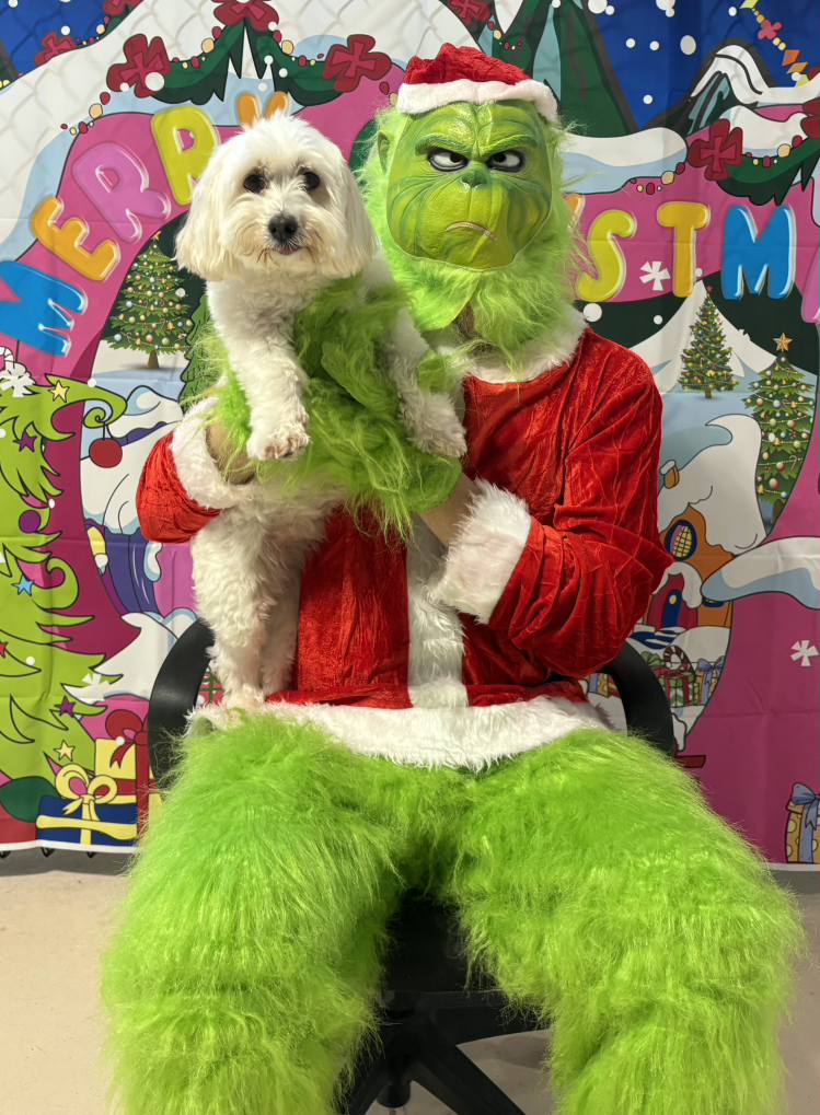 P's and Q's Pet Resort and Spa Land O' Lakes
