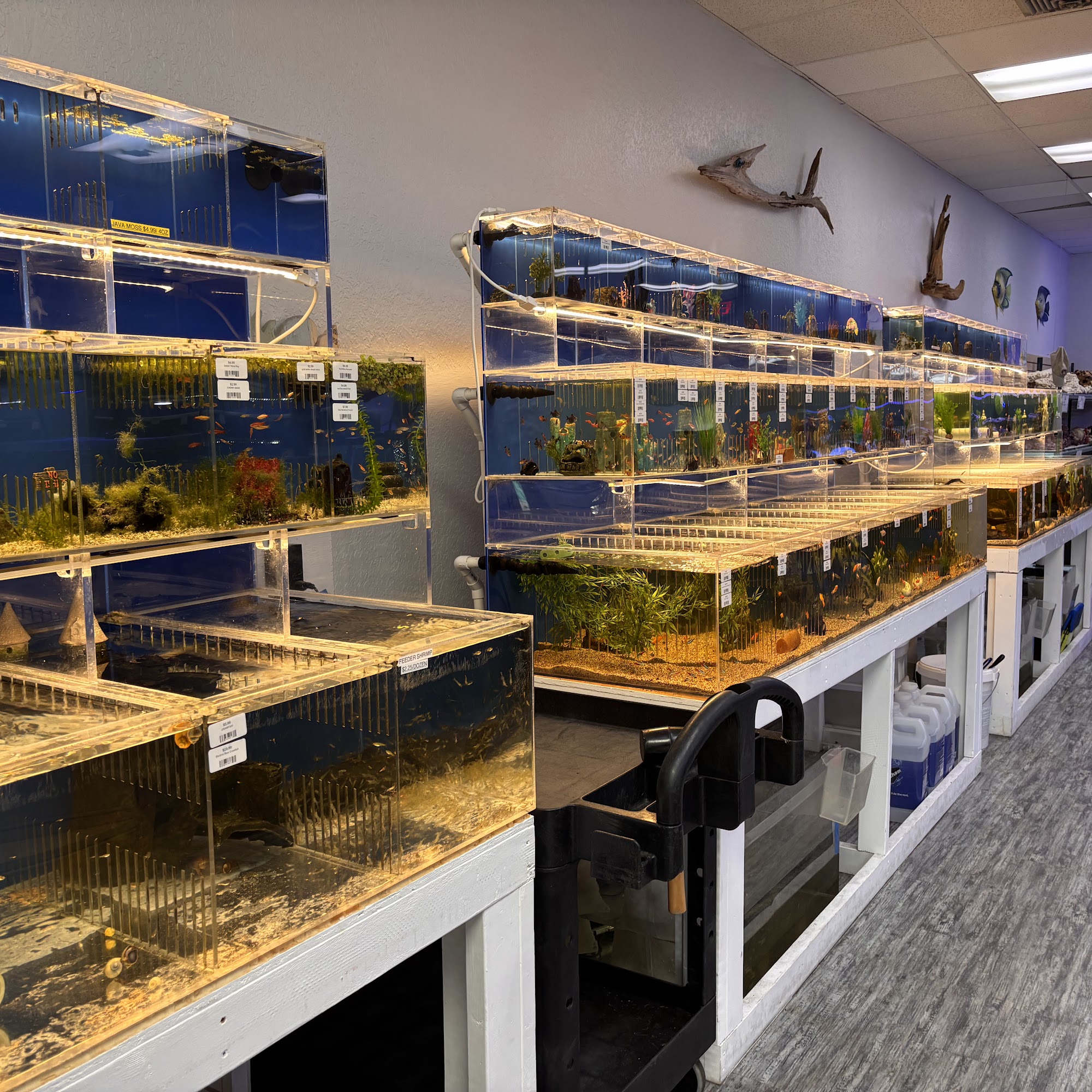 What's In Your Tank Land O' Lakes