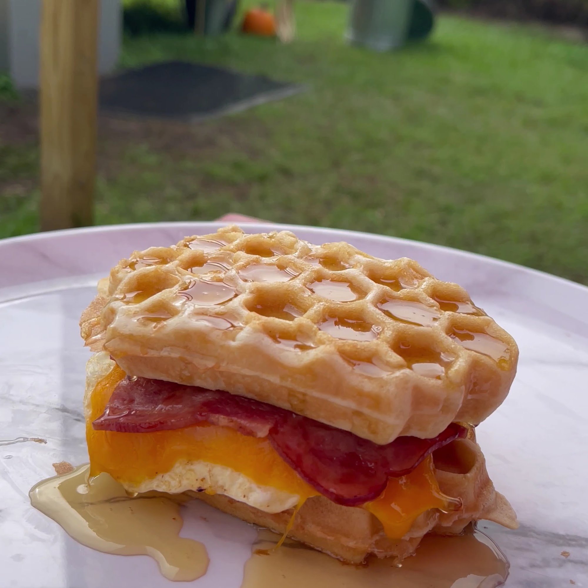 Bee Coffee Land O' Lakes